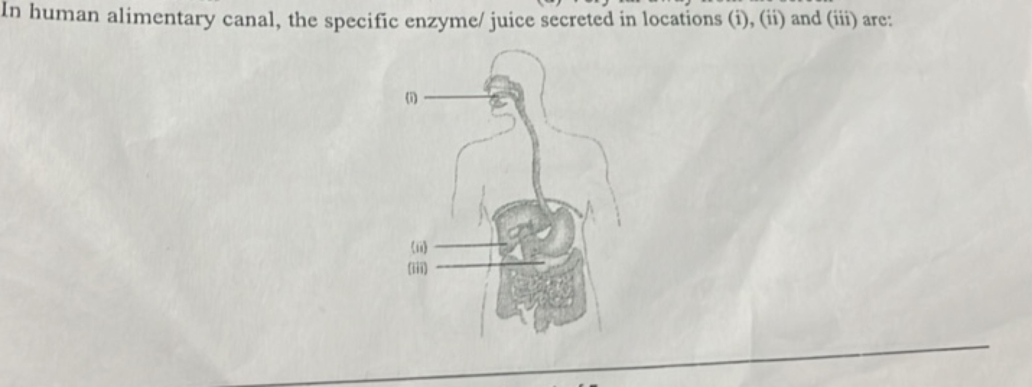 In human alimentary canal, the specific enzyme/ juice secreted in loca