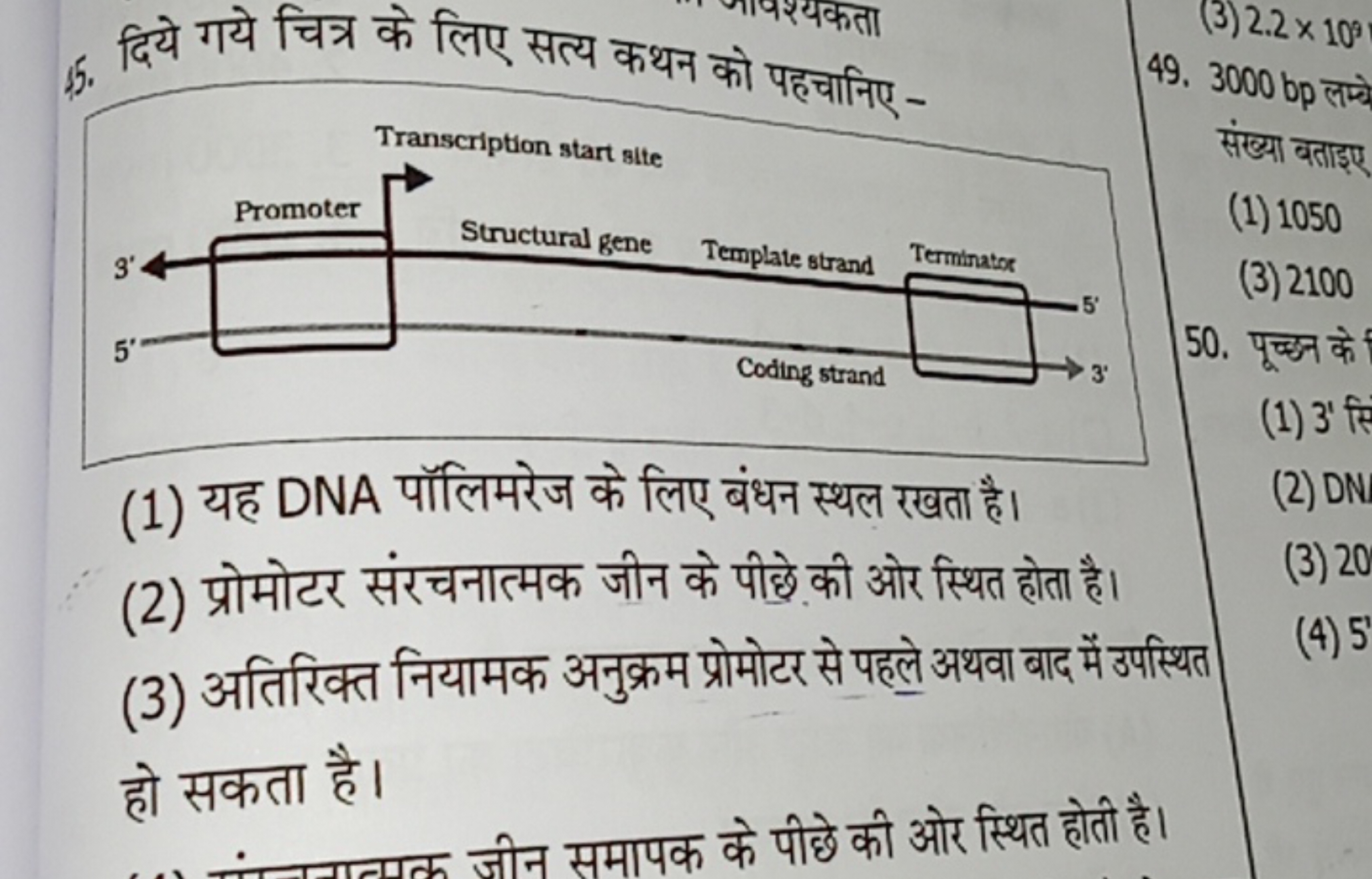 5. दिये गये चित्र के लिए सत्य कथन को पहचानिए -
(3) 2.2×10
49. 3000 bp 