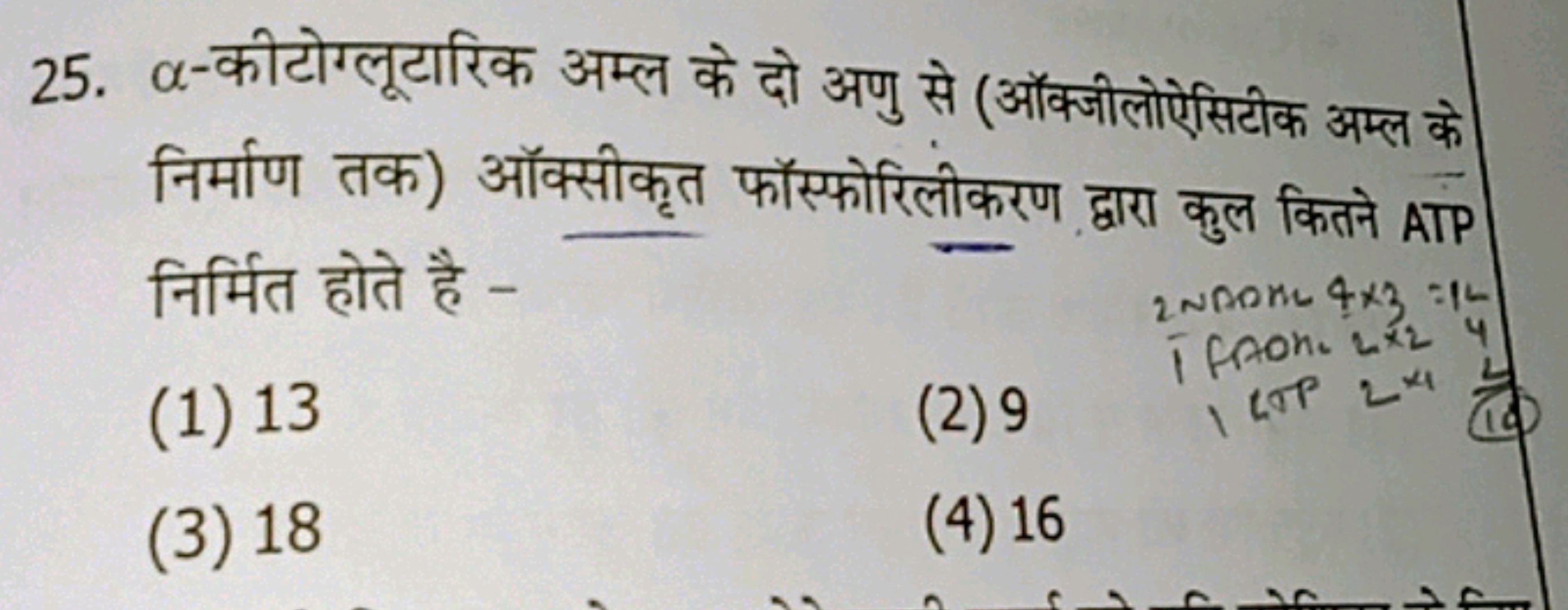 25. α-कीटोग्लूटारिक अम्ल के दो अणु से (ऑक्जीलोऐसिटीक अम्ल के निर्माण त