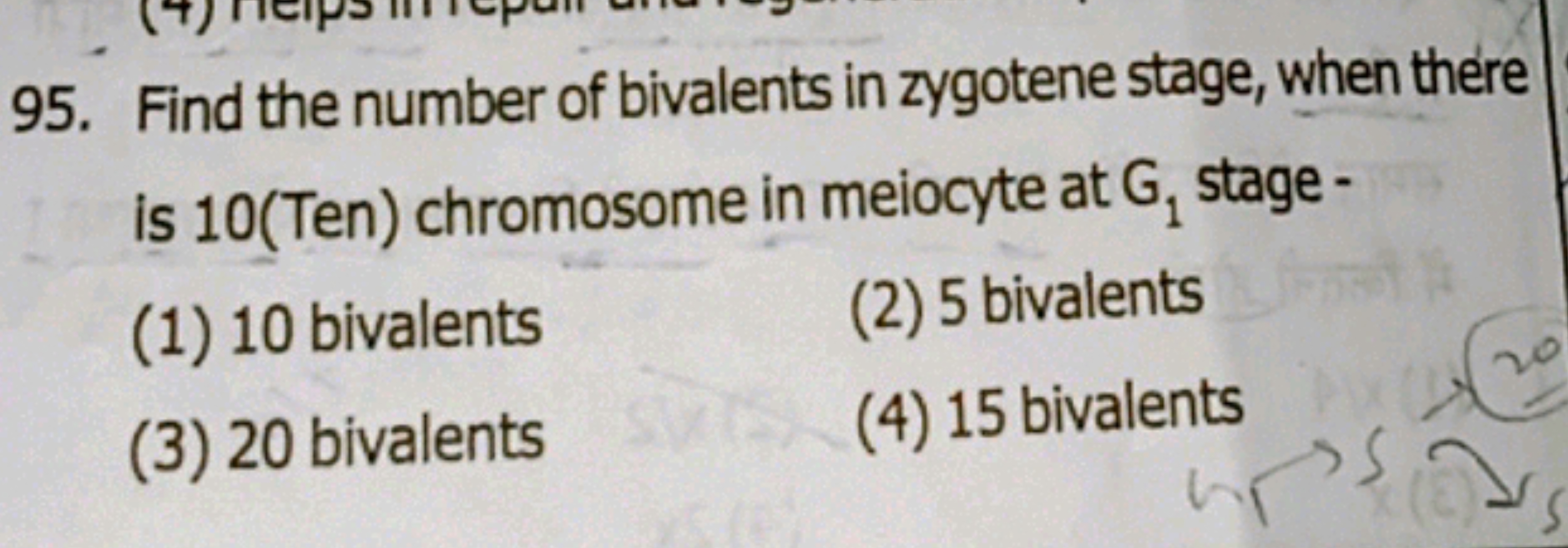 95. Find the number of bivalents in zygotene stage, when there
is 10(T