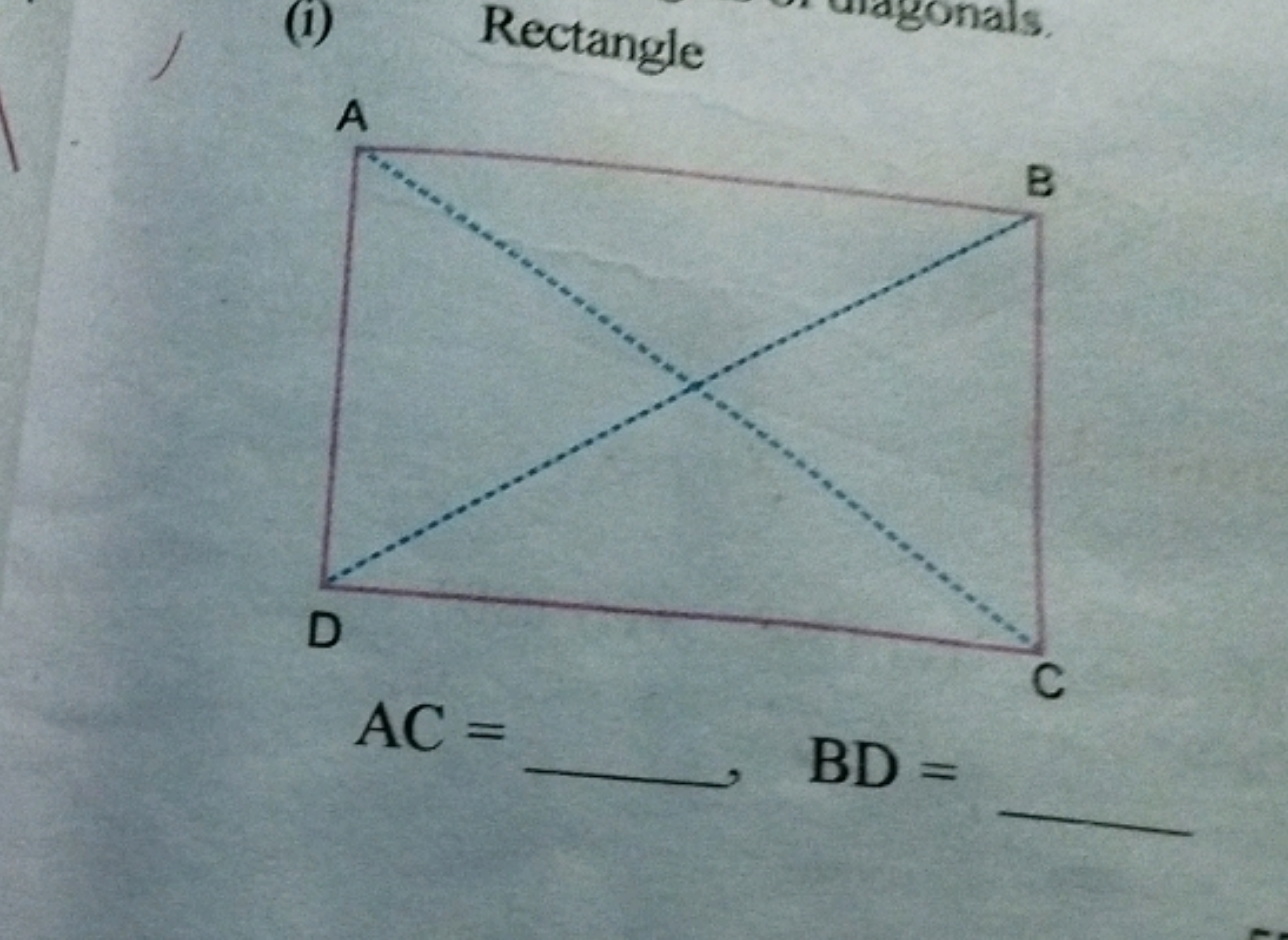 (i)

Rectangle
AC= 
BD=