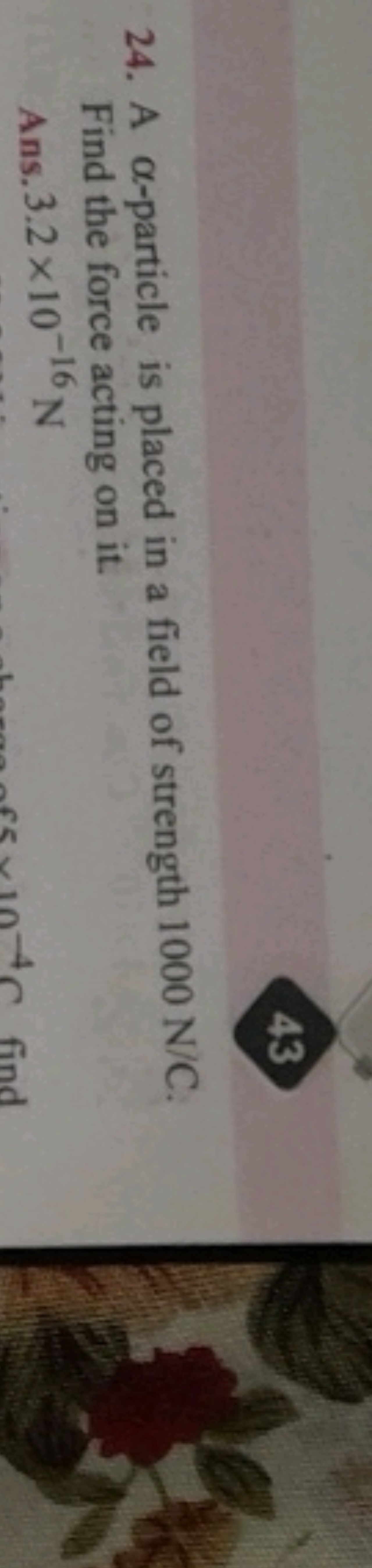 43
24. A α-particle is placed in a field of strength 1000 N/C. Find th