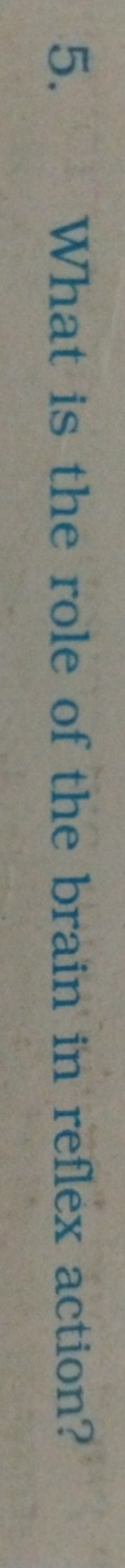 5. What is the role of the brain in reflex action?