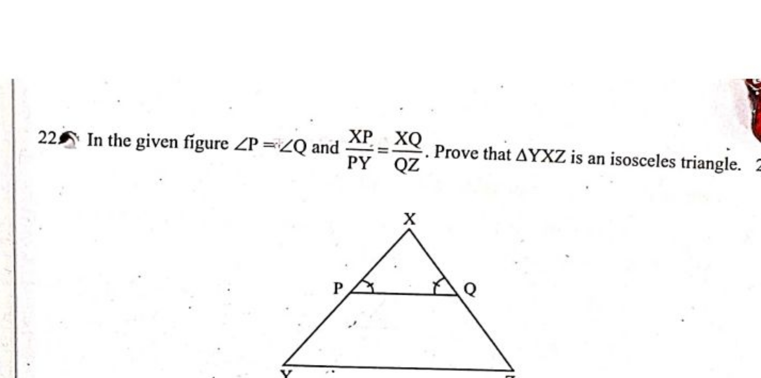 225 In the given figure ∠P=∠Q and PYXP​=QZXQ​. Prove that △YXZ is an i