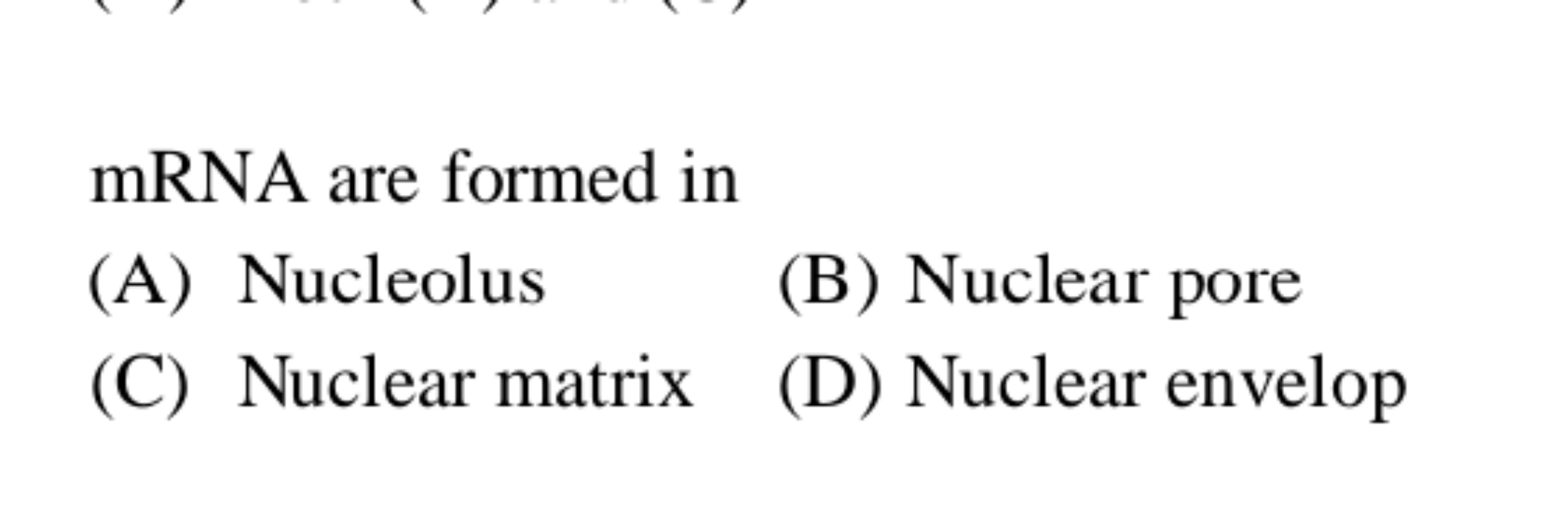 mRNA are formed in
(A) Nucleolus
(B) Nuclear pore
(C) Nuclear matrix
(