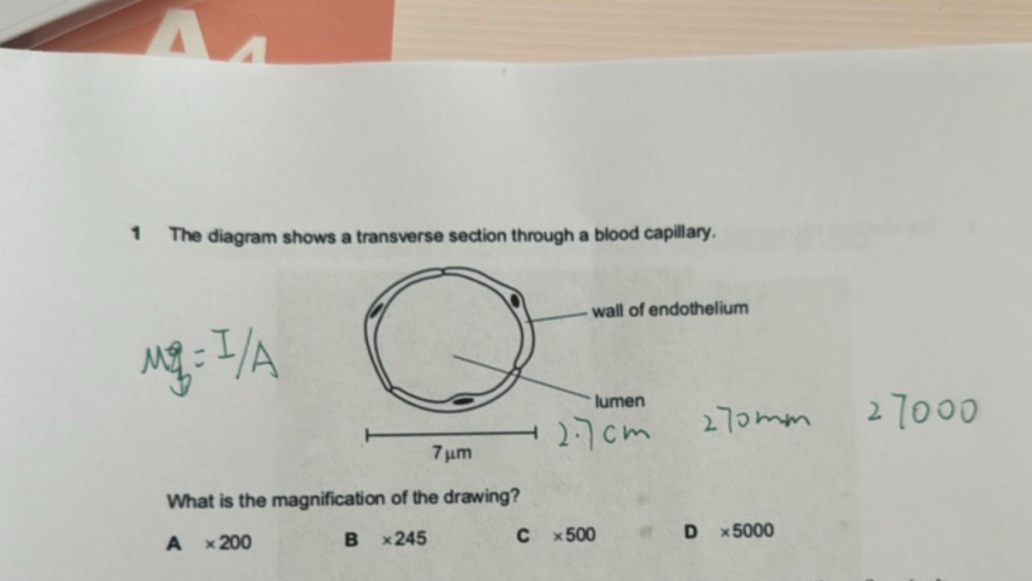 1 The diagram shows a transverse section through a blood capillary.

W