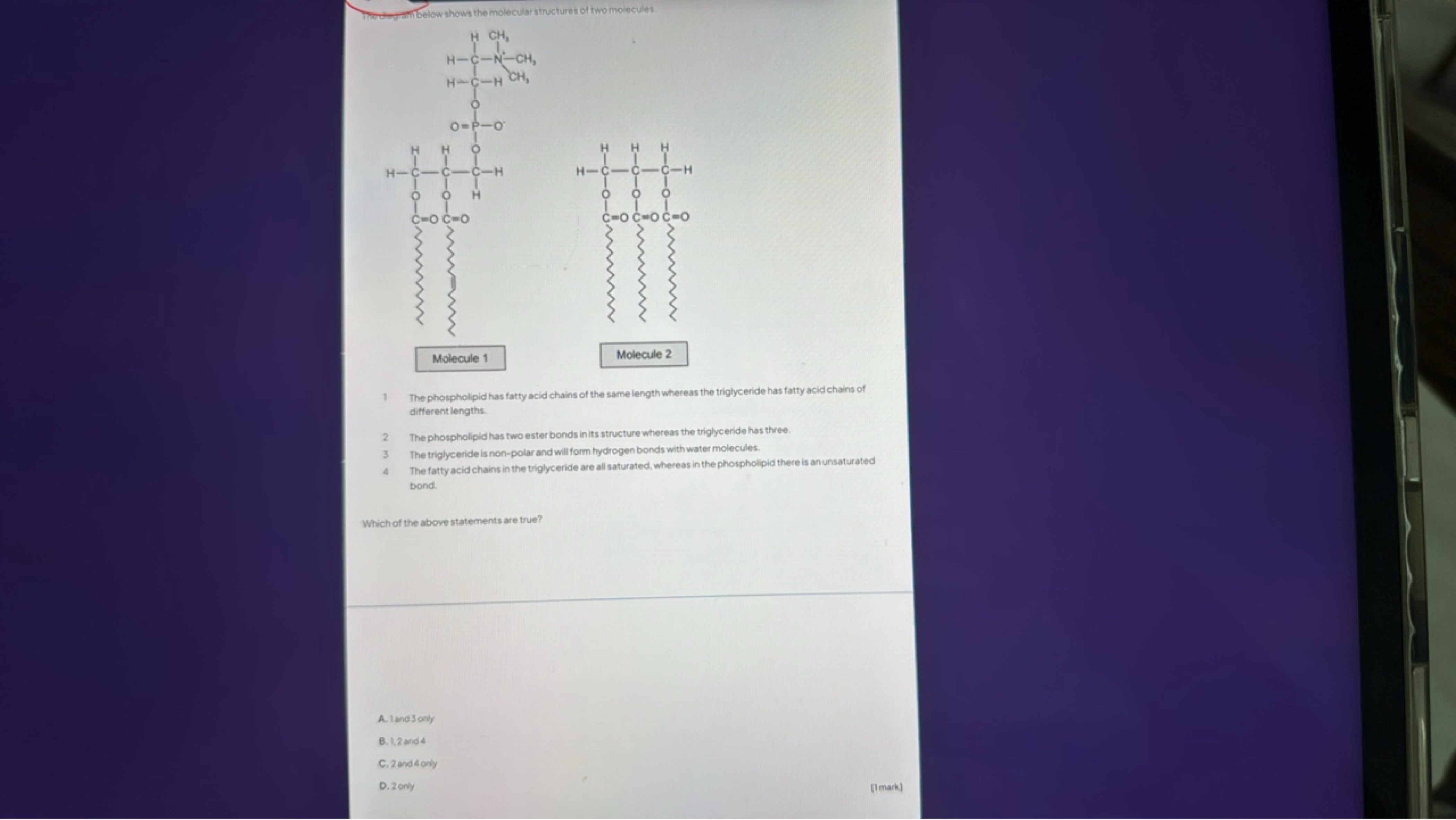 
1 The phospholipid has farty acid chains of the same length whereas t