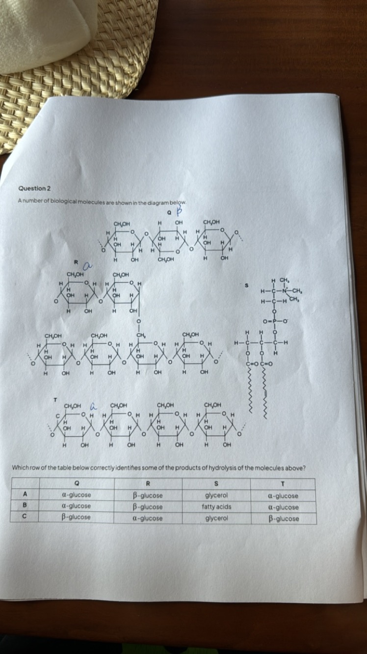 Question 2
A number of biological molecules are shown in the diagram b