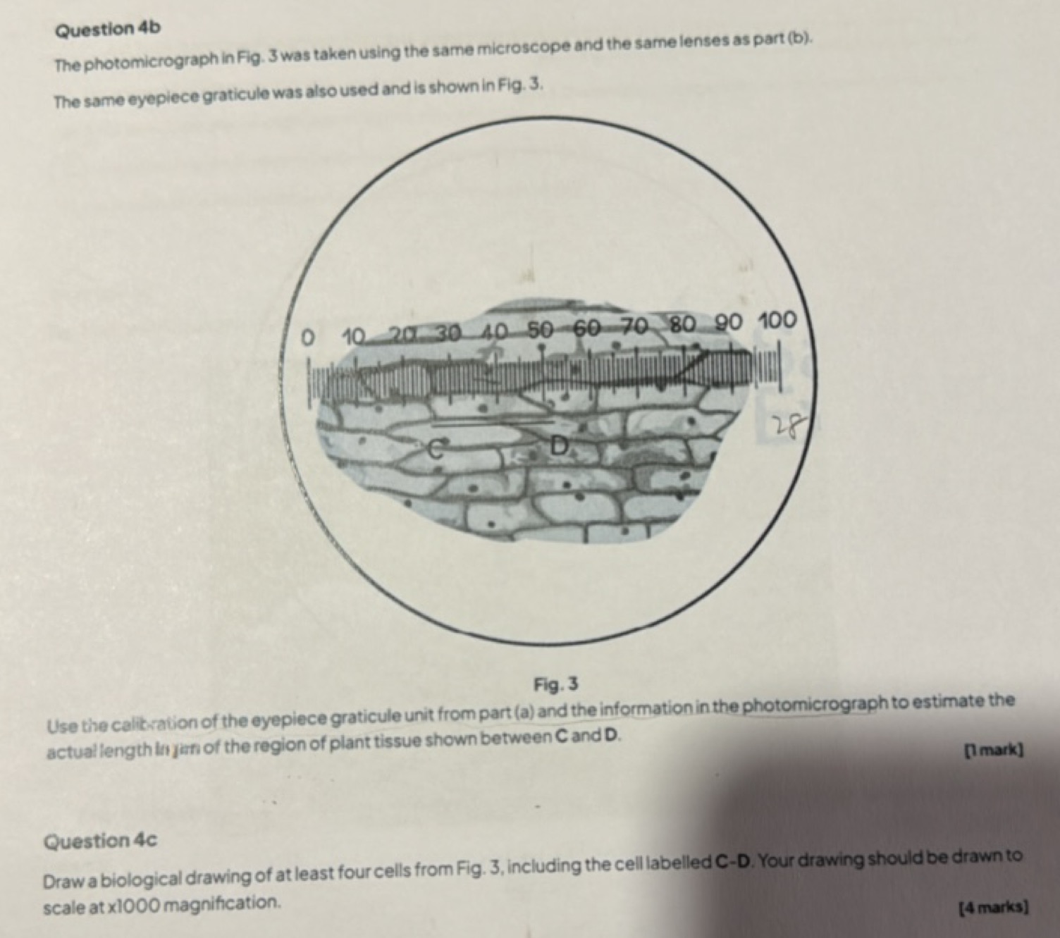 Question 4b
The photomicrograph in Fig. 3 was taken using the same mic