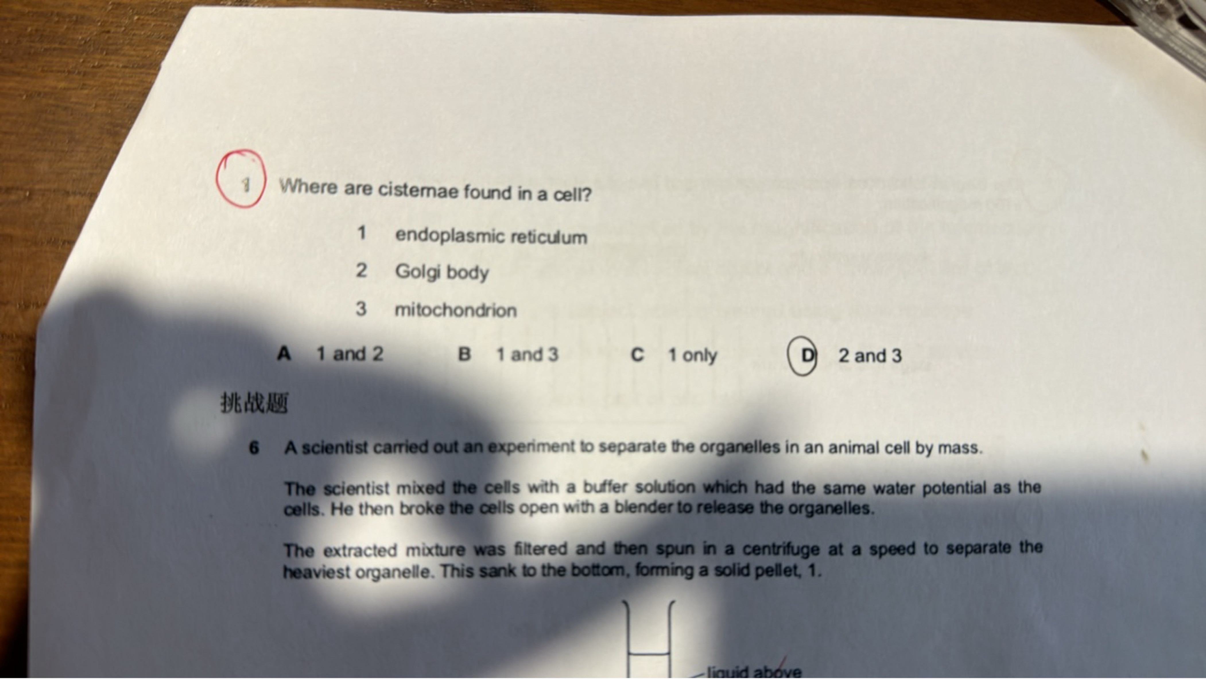 1. Where are cistemae found in a cell?
1 endoplasmic reticulum
2 Golgi