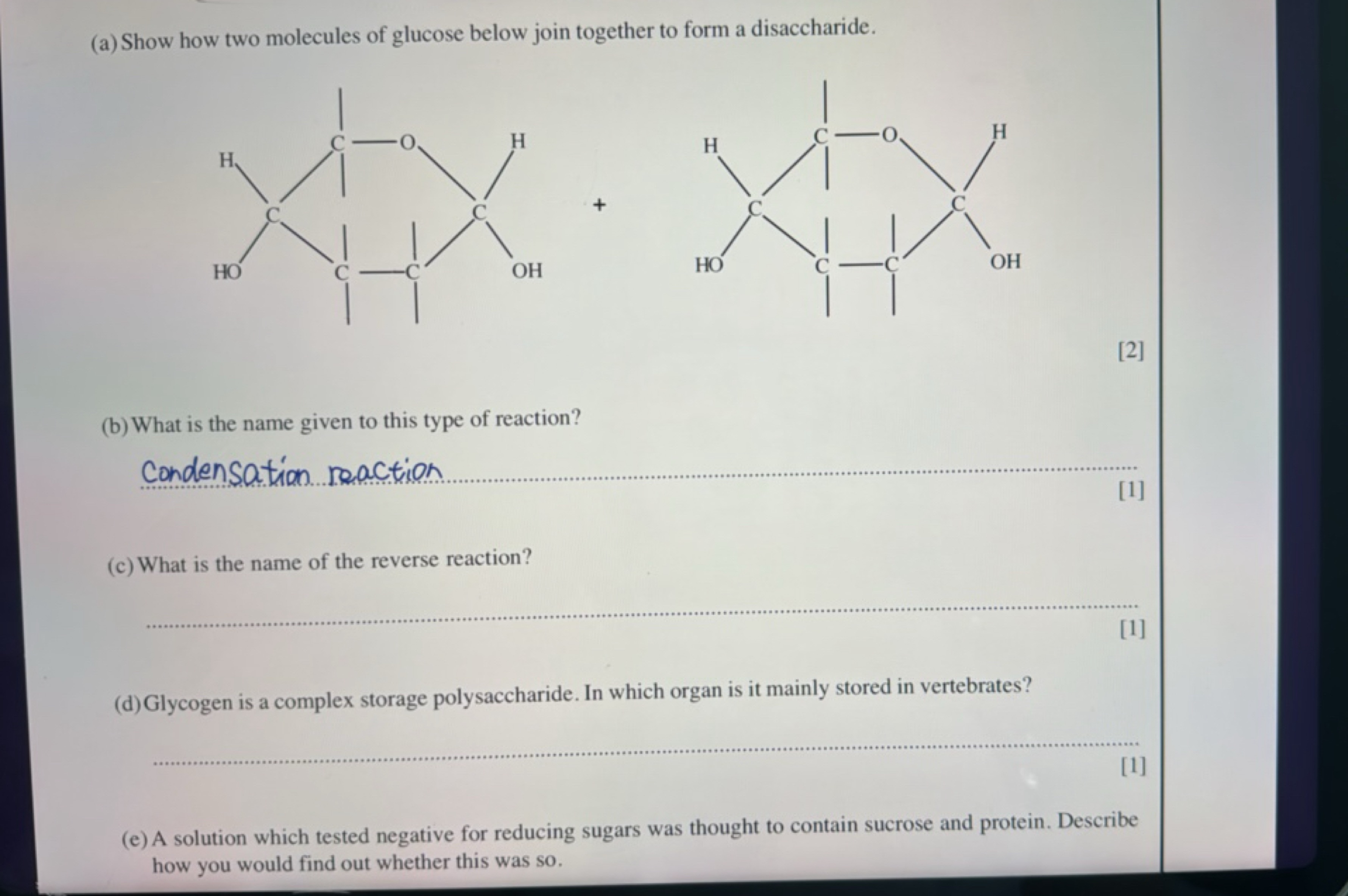 (a) Show how two molecules of glucose below join together to form a di