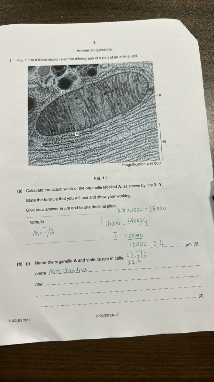 2
Answer all questions.
1 Fig. 1.1 is a transmission electron microgra