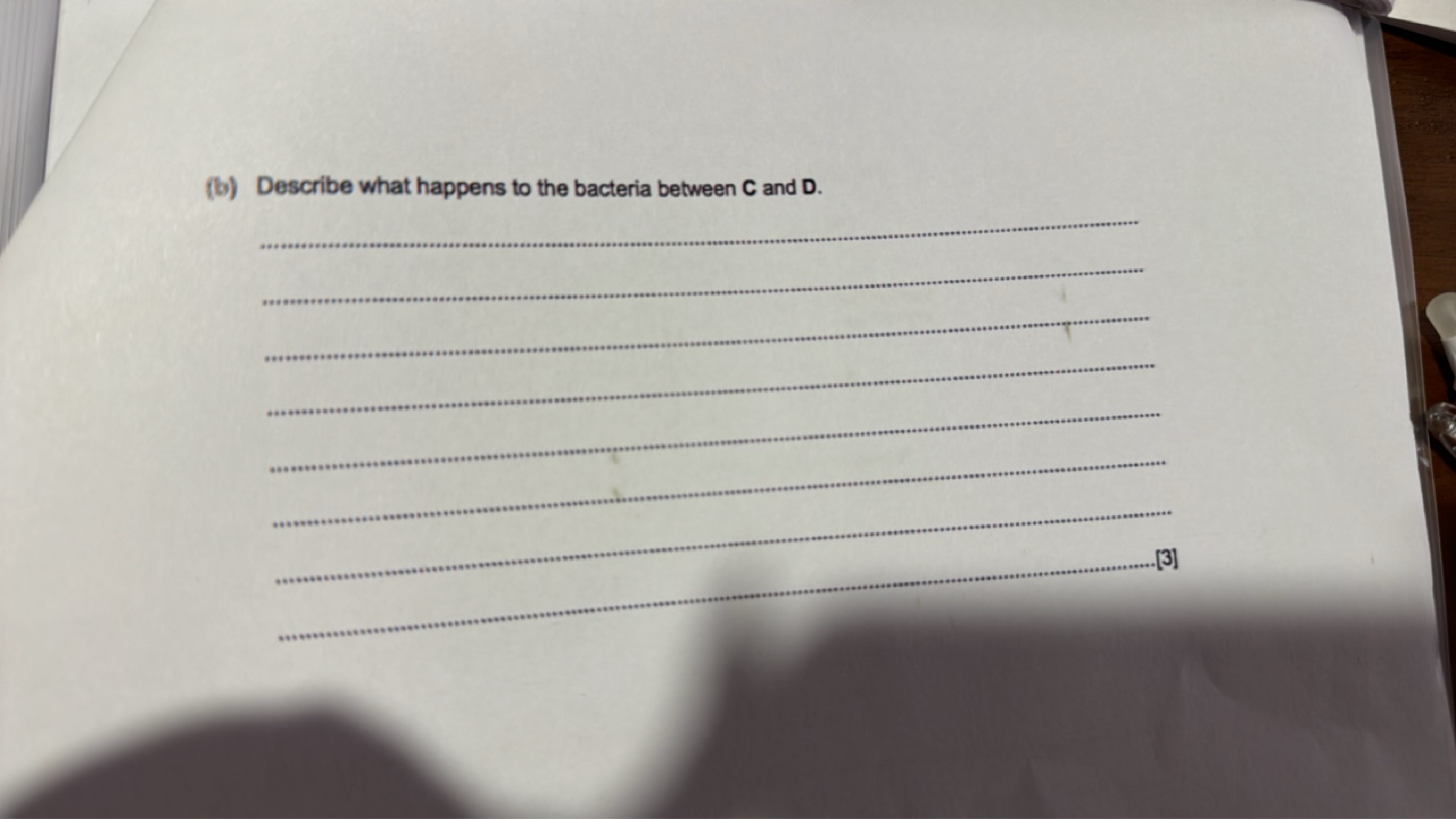 (b) Describe what happens to the bacteria between C and D.