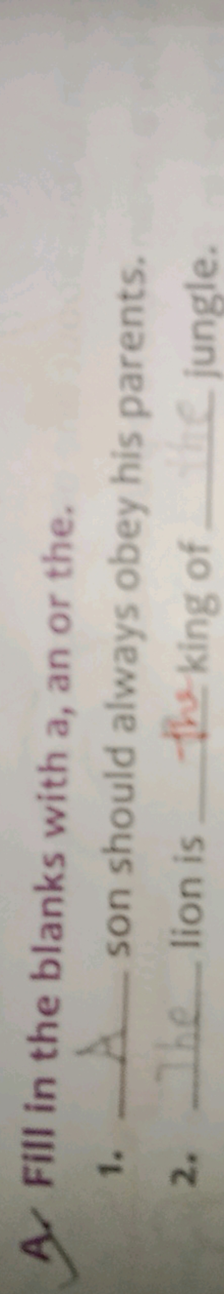 A. Fill in the blanks with a, an or the.
1.  son should always obey hi