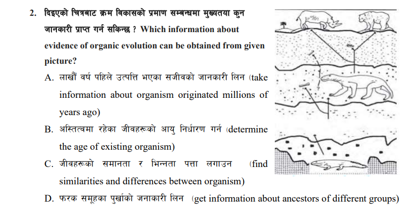 2. दिइएको चित्रबाट क्रम विकासको प्रमाण सम्बन्धमा मुख्यतया कुन जानकारी 