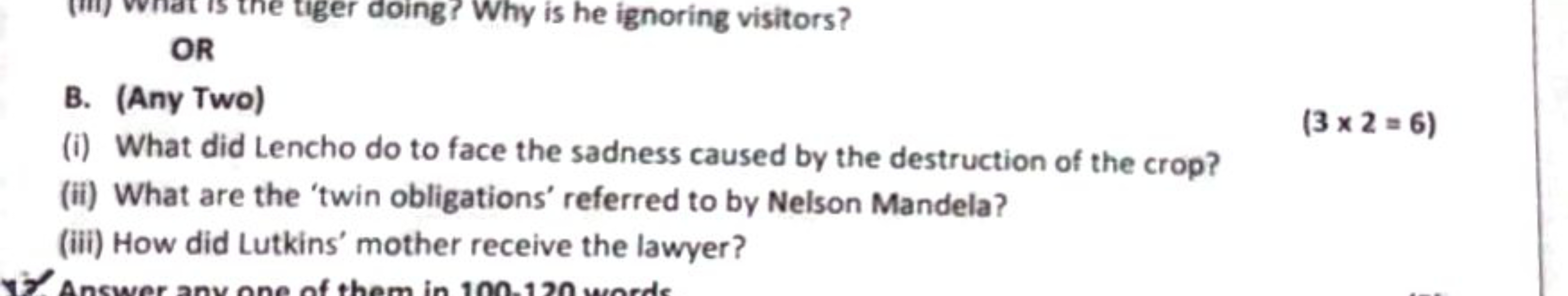 OR
B. (Any Two)
(i) What did Lencho do to face the sadness caused by t