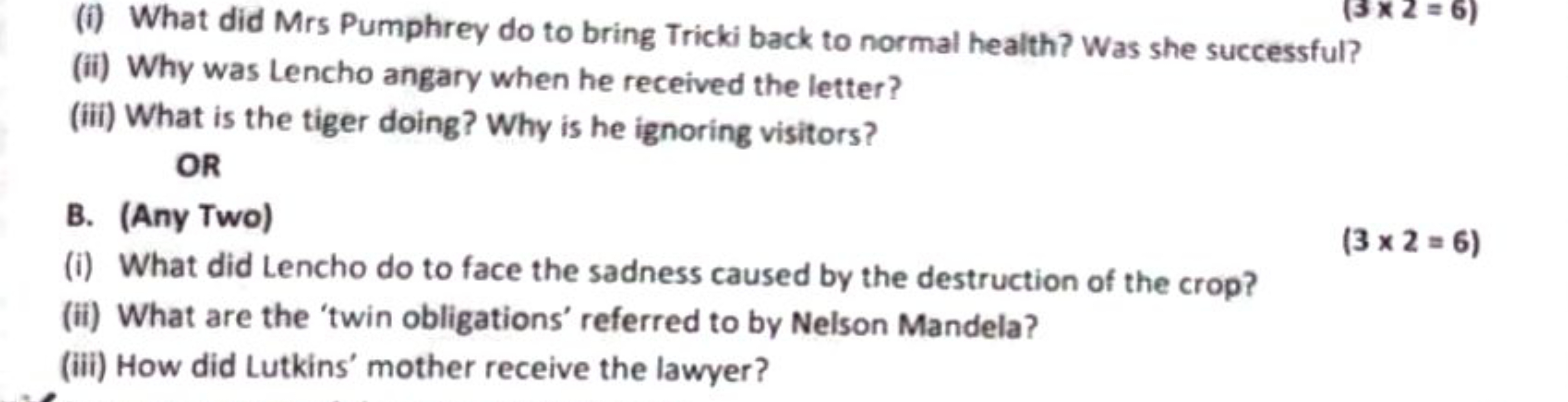 (3×2=6)
(i) What did Mrs Pumphrey do to bring Tricki back to normal he