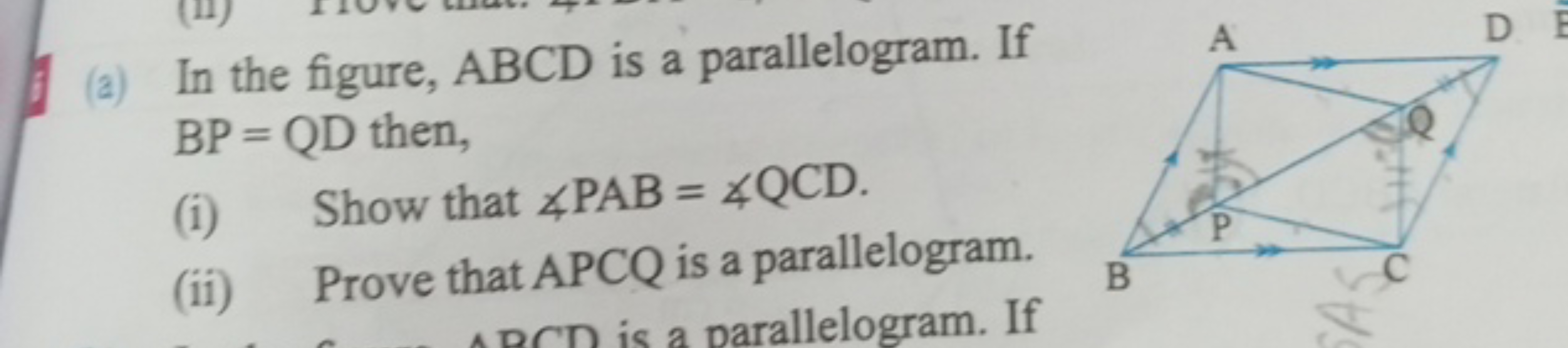 (a) In the figure, ABCD is a parallelogram. If BP=QD then,
(i) Show th