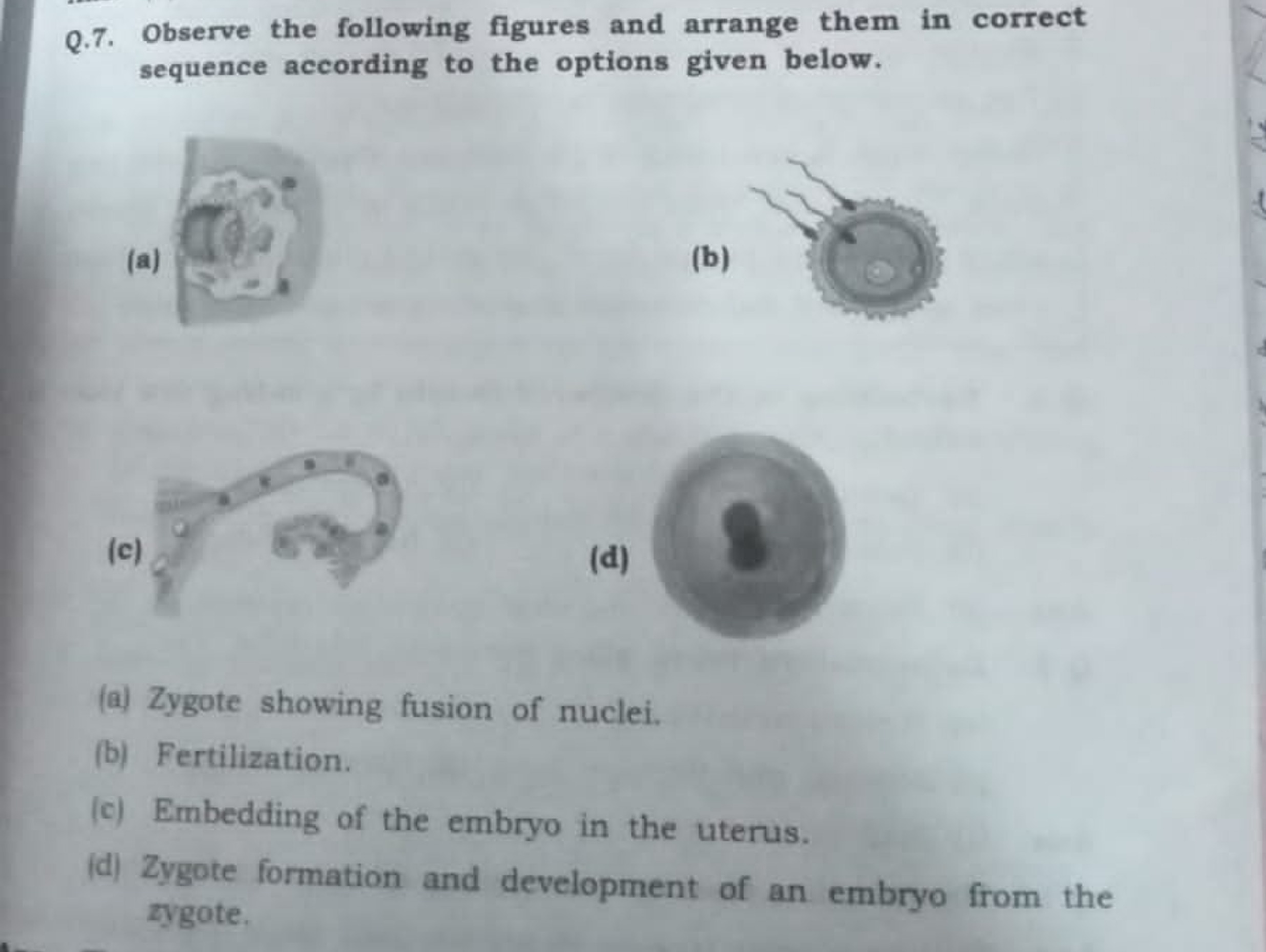 Q.7. Observe the following figures and arrange them in correct sequenc