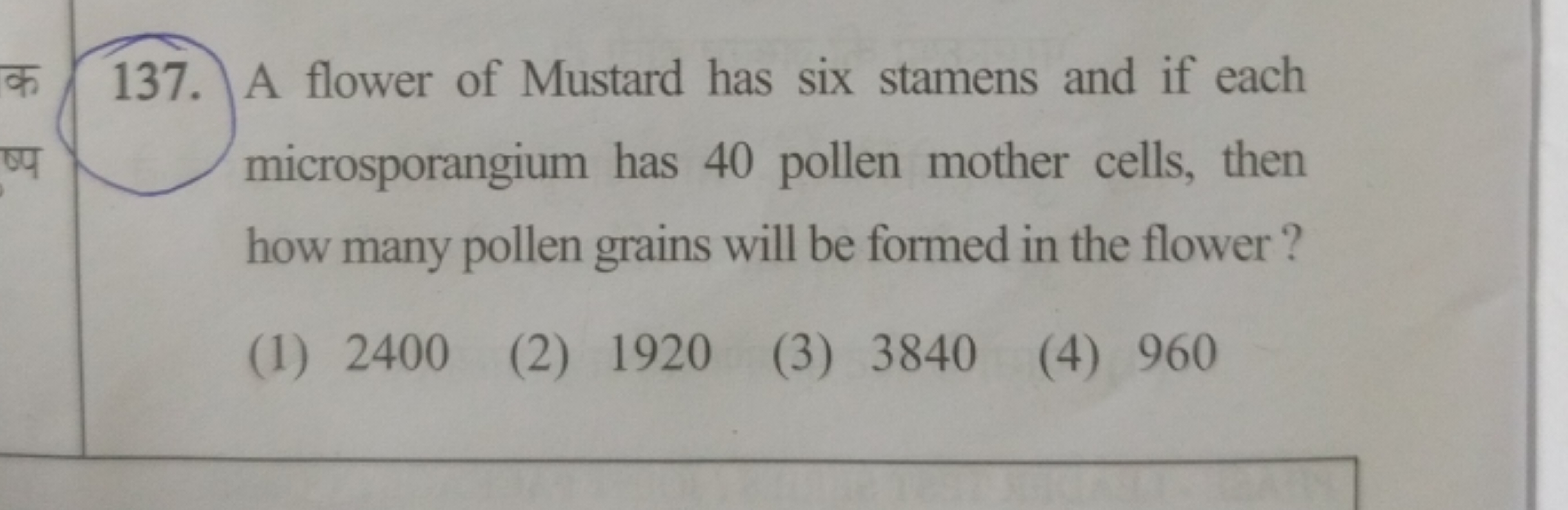 137. A flower of Mustard has six stamens and if each microsporangium h