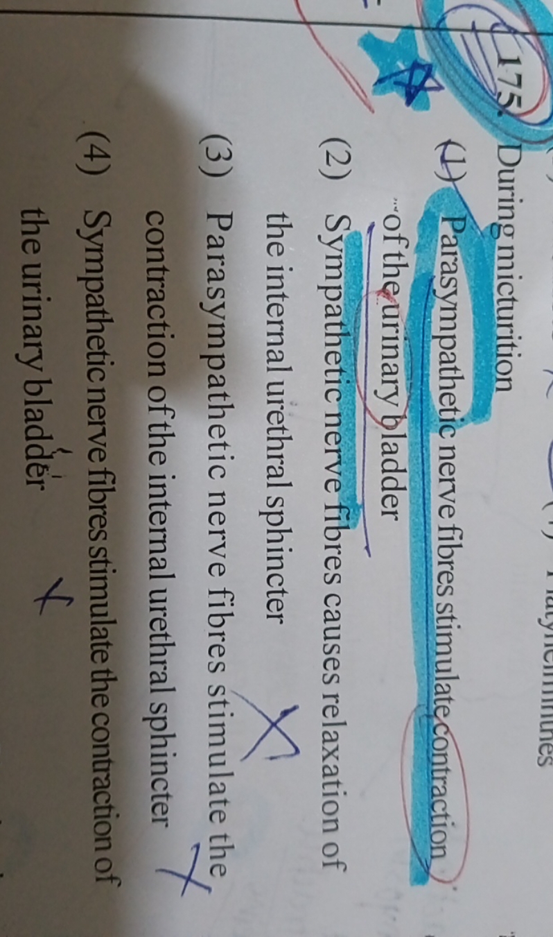 175. During micturition
(1) Parasympathetic nerve fibres stimulate con