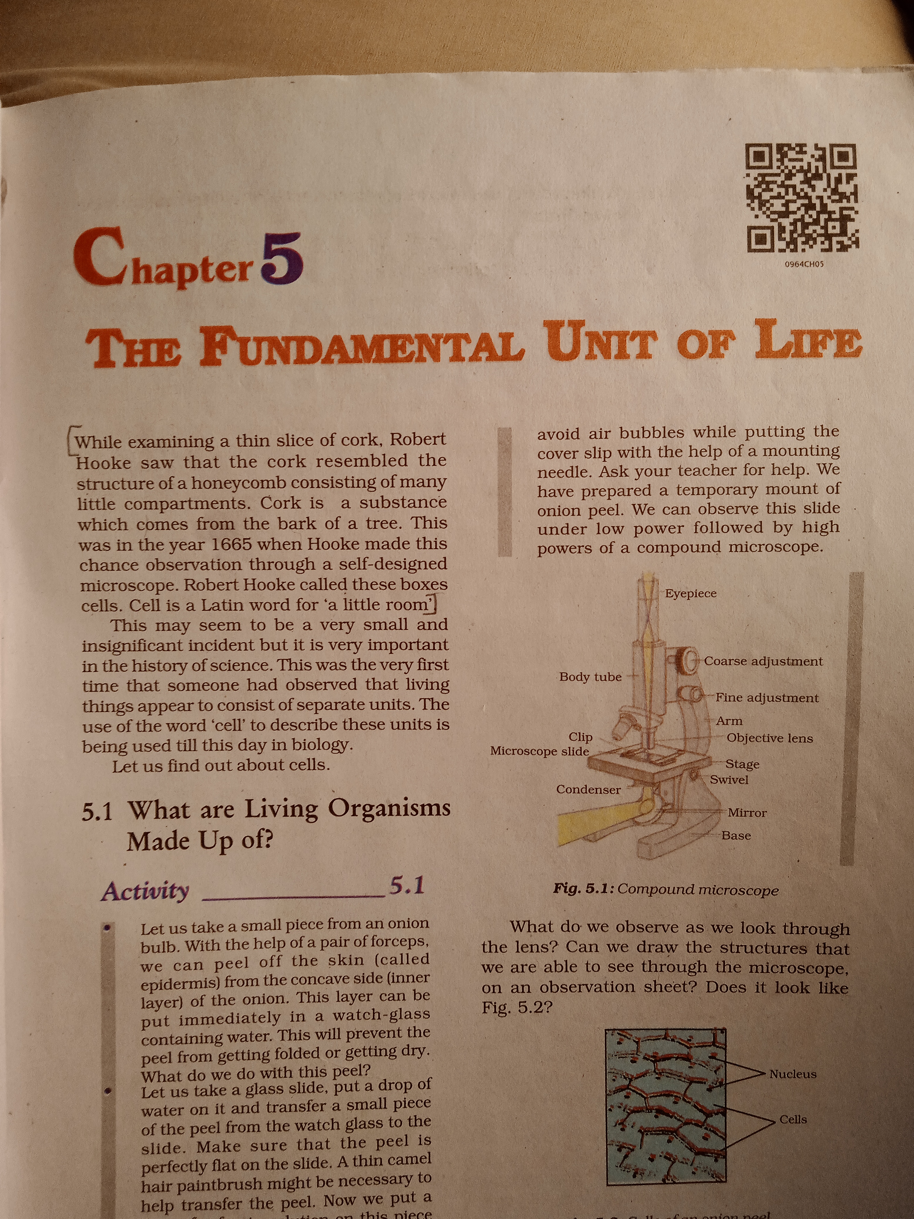 Chapter 5
0964CHO5

Thu Fundamintal Unit OF LIEE

While examining a th