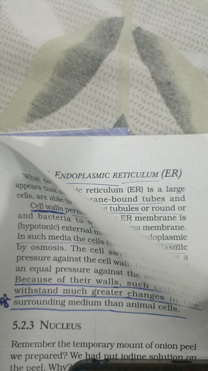 ENDOPLASMIC RETICULUM ​(ER)
What of that ic reticulum (ER) is a large 