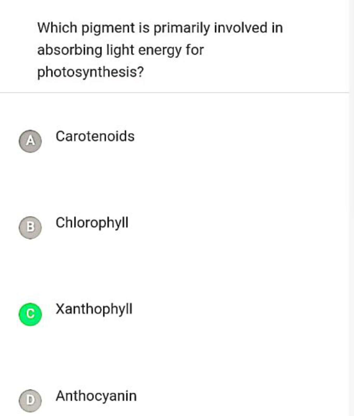 Which pigment is primarily involved in absorbing light energy for phot