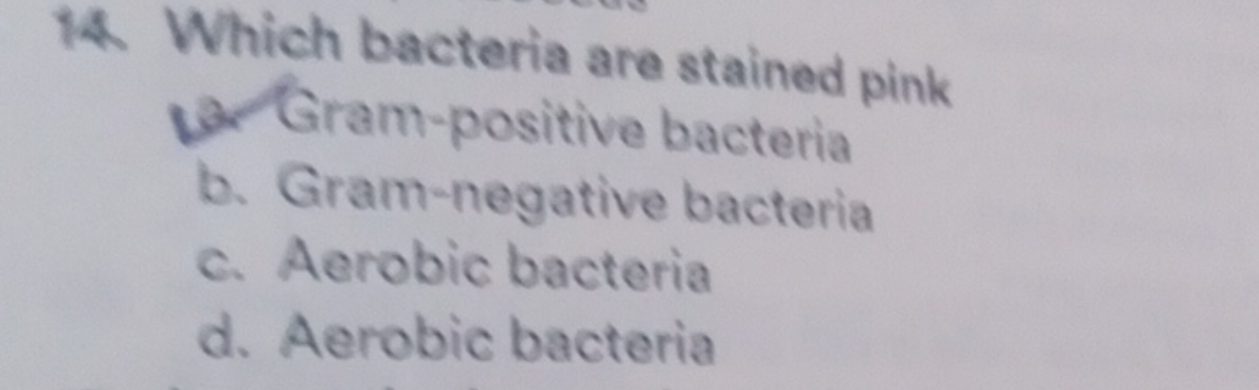 14. Which bacteria are stained pink
1) Gram-positive bacteria
b. Gram-