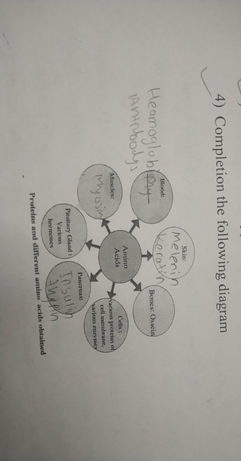 4) Completion the following diagram