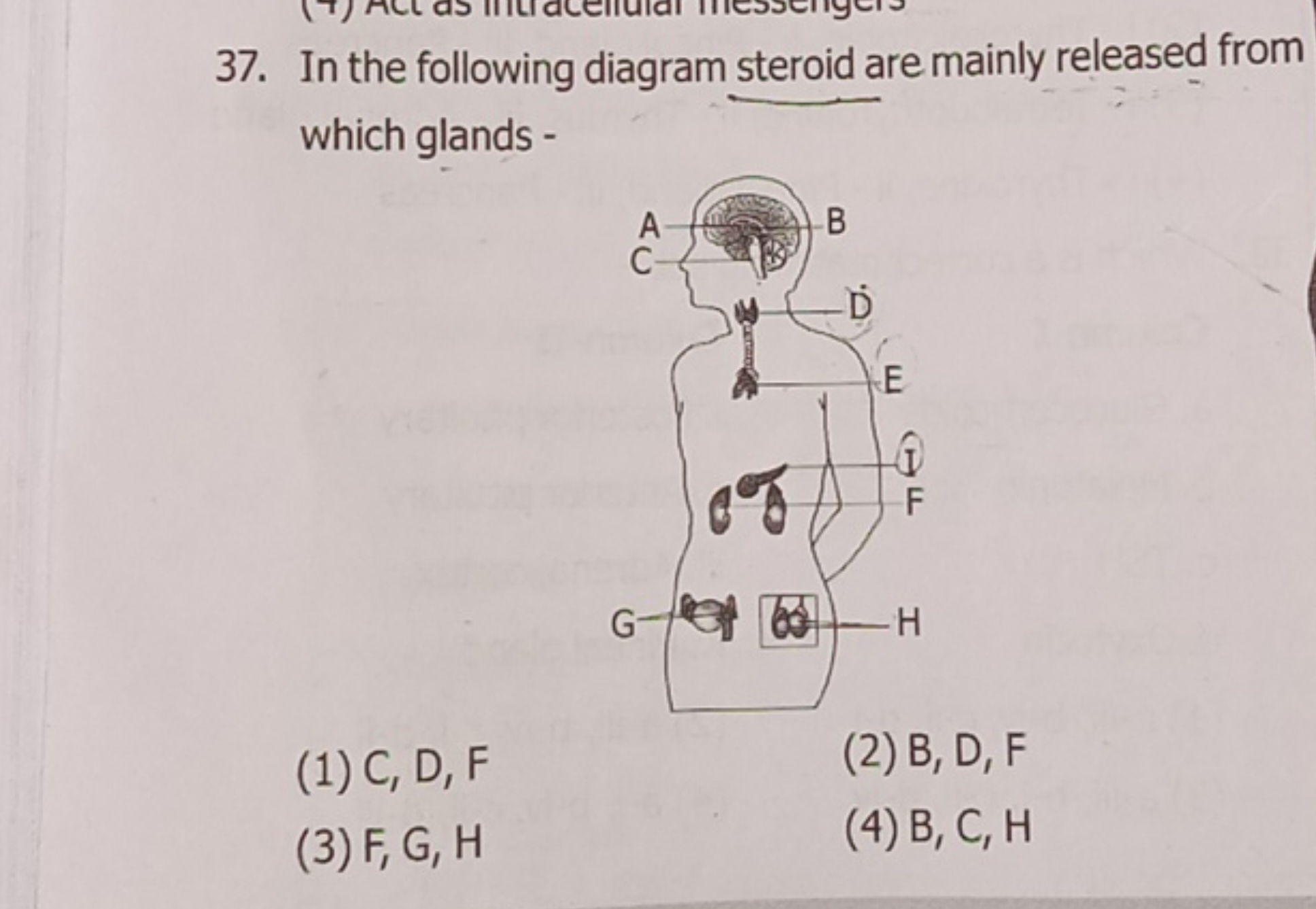 37. In the following diagram steroid are mainly released from which gl