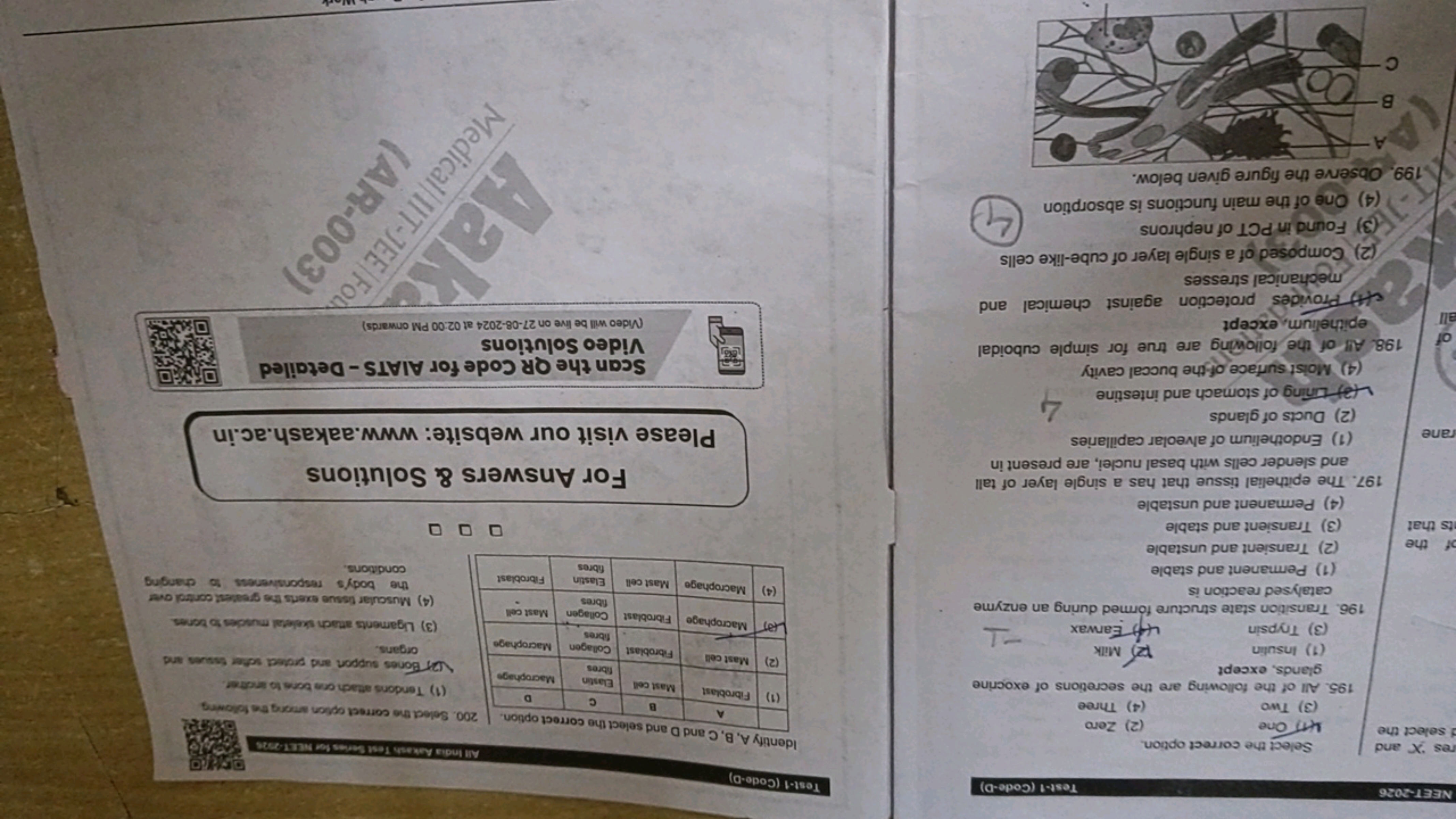 NEET-2026
res X and
d select the
Select the correct option.
One
(2) Ze