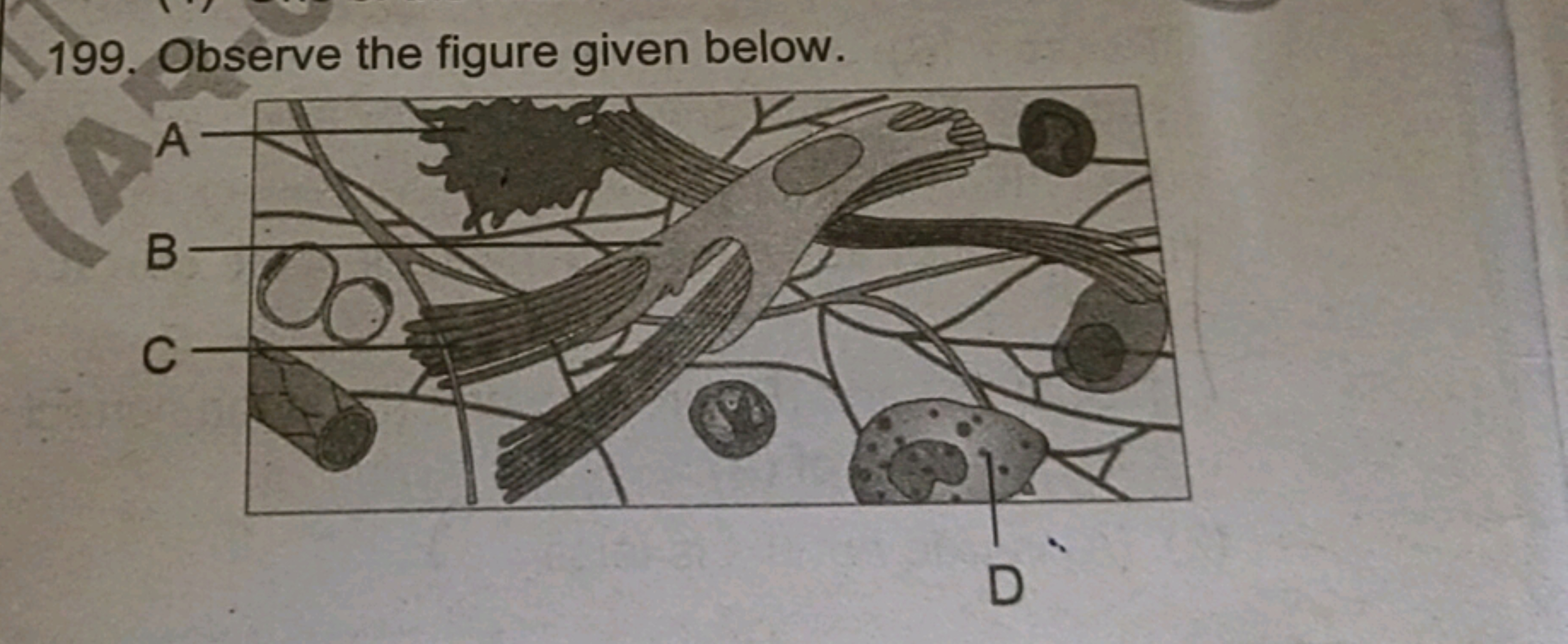 199. Observe the figure given below.