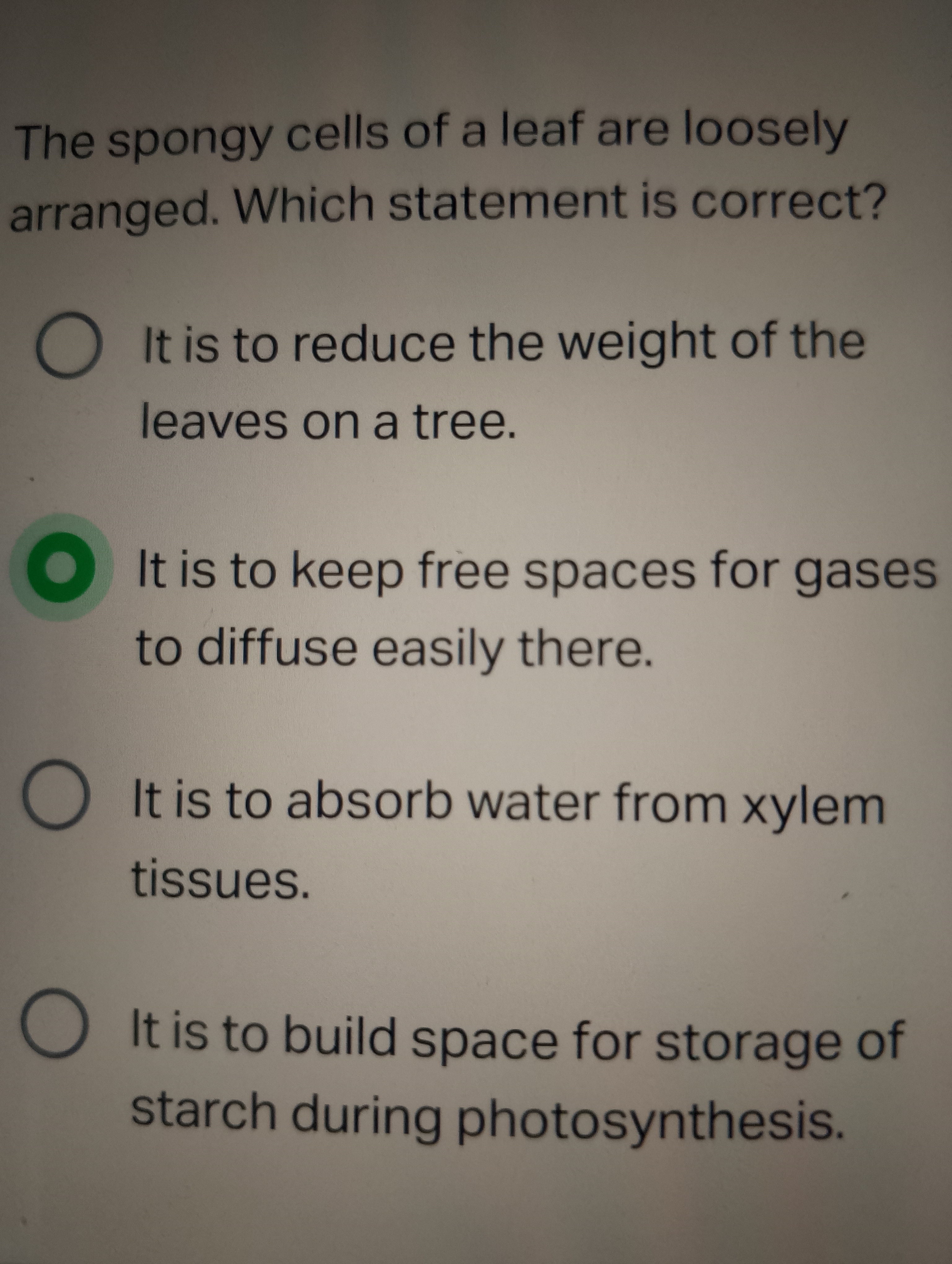 The spongy cells of a leaf are loosely arranged. Which statement is co