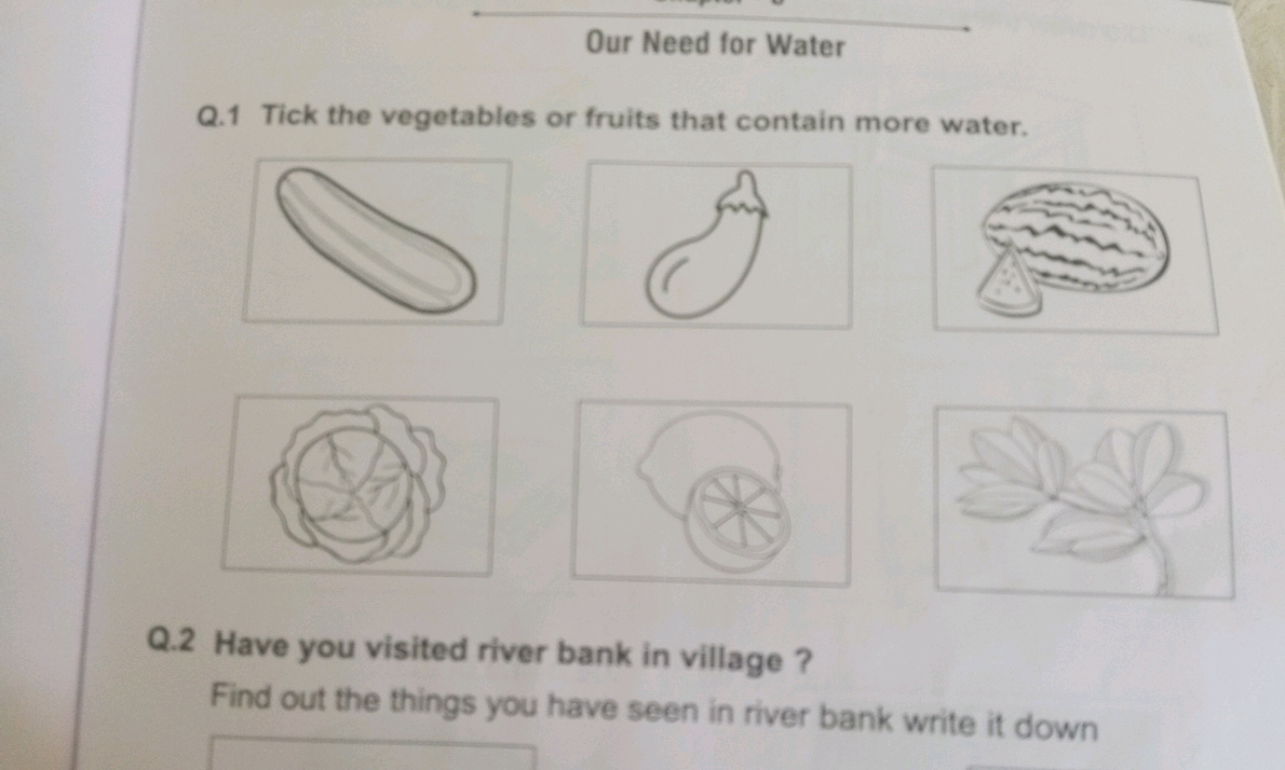 Our Need for Water
Q.1 Tick the vegetables or fruits that contain more