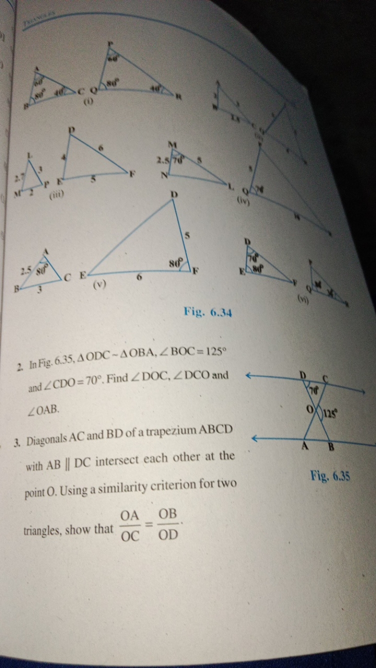 (iii)
(v)
6

Fig. 6.34
2. In Fig. 6.35,△ODC∼△OBA,∠BOC=125∘ and ∠CDO=70