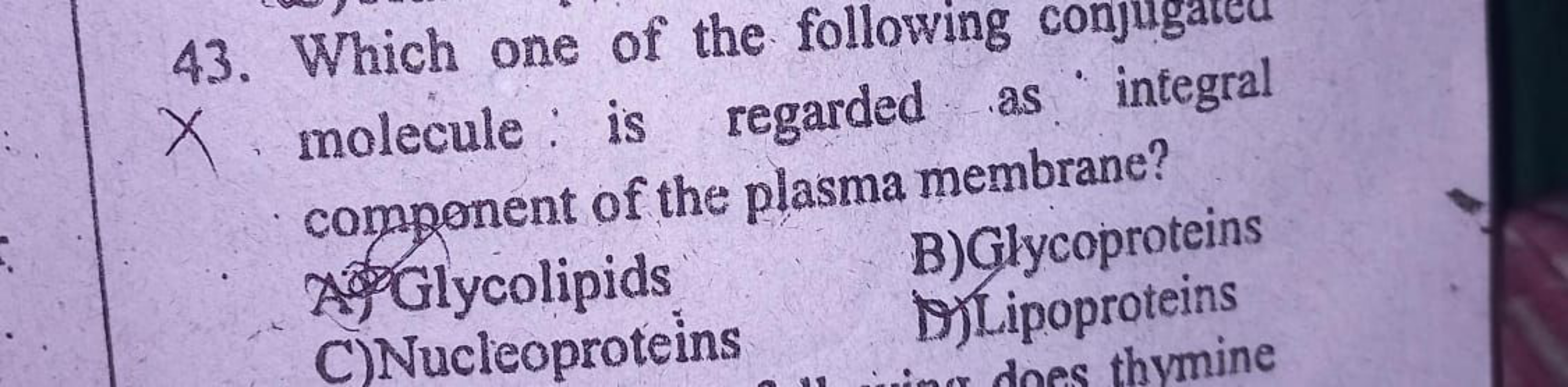 43. Which one of the following conjugate molecule : is regarded as int