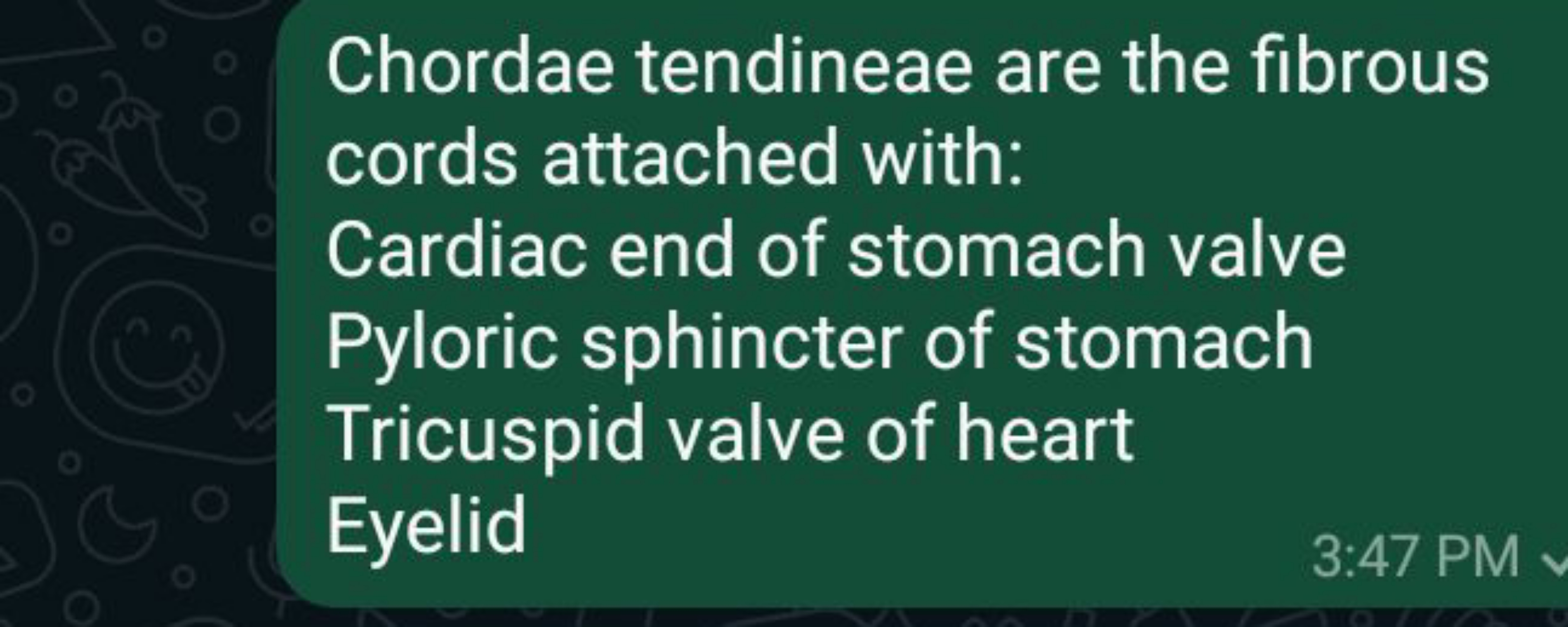 Chordae tendineae are the fibrous cords attached with:
Cardiac end of 