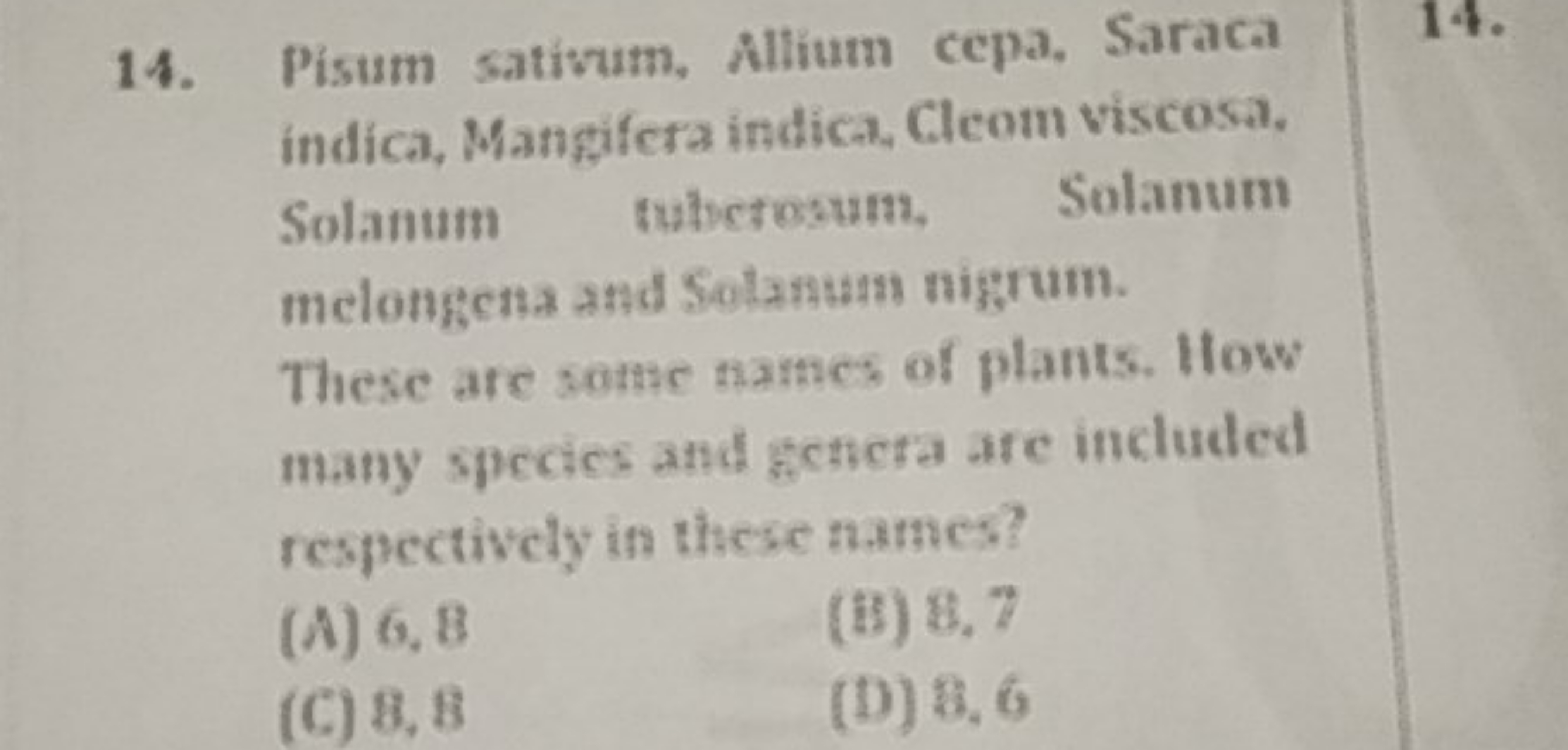 14. Pisum sativum, Allium cepa, Saraca indica, Mangifera indica, Cleom