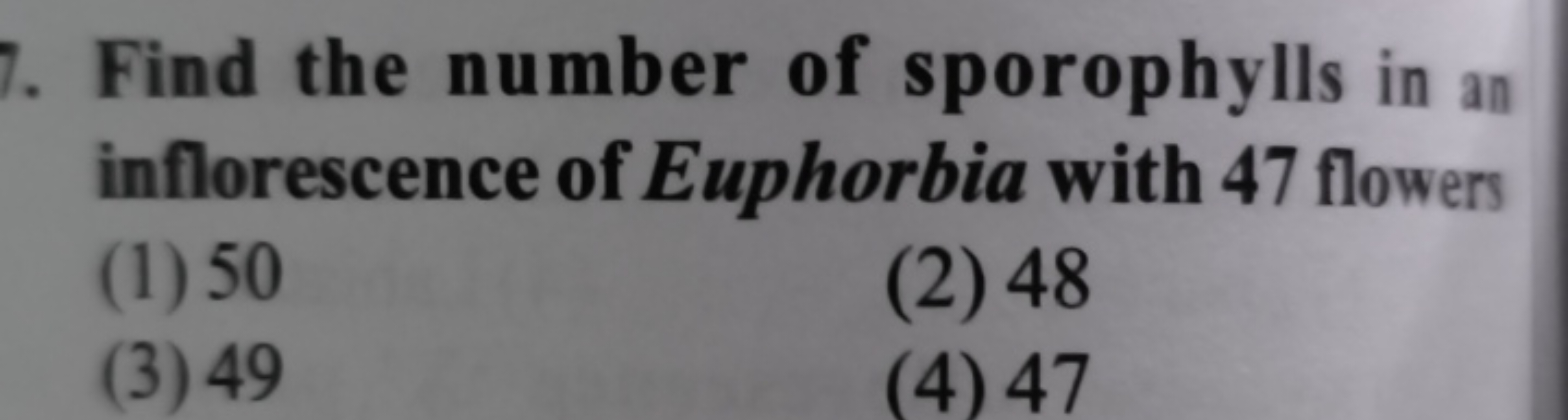 Find the number of sporophylls in an inflorescence of Euphorbia with 4