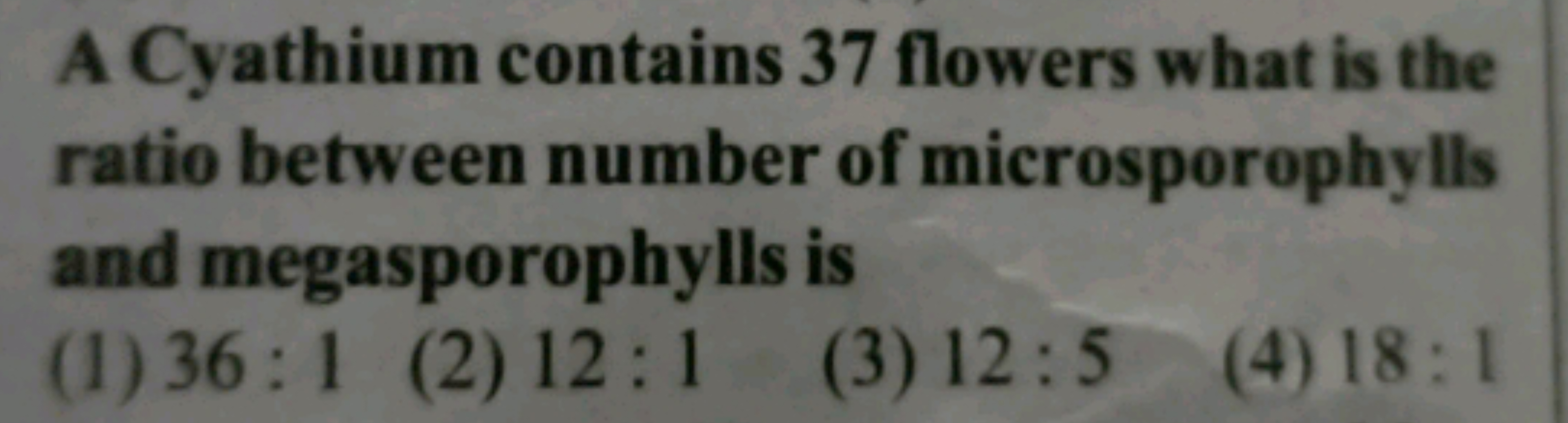 A Cyathium contains 37 flowers what is the ratio between number of mic