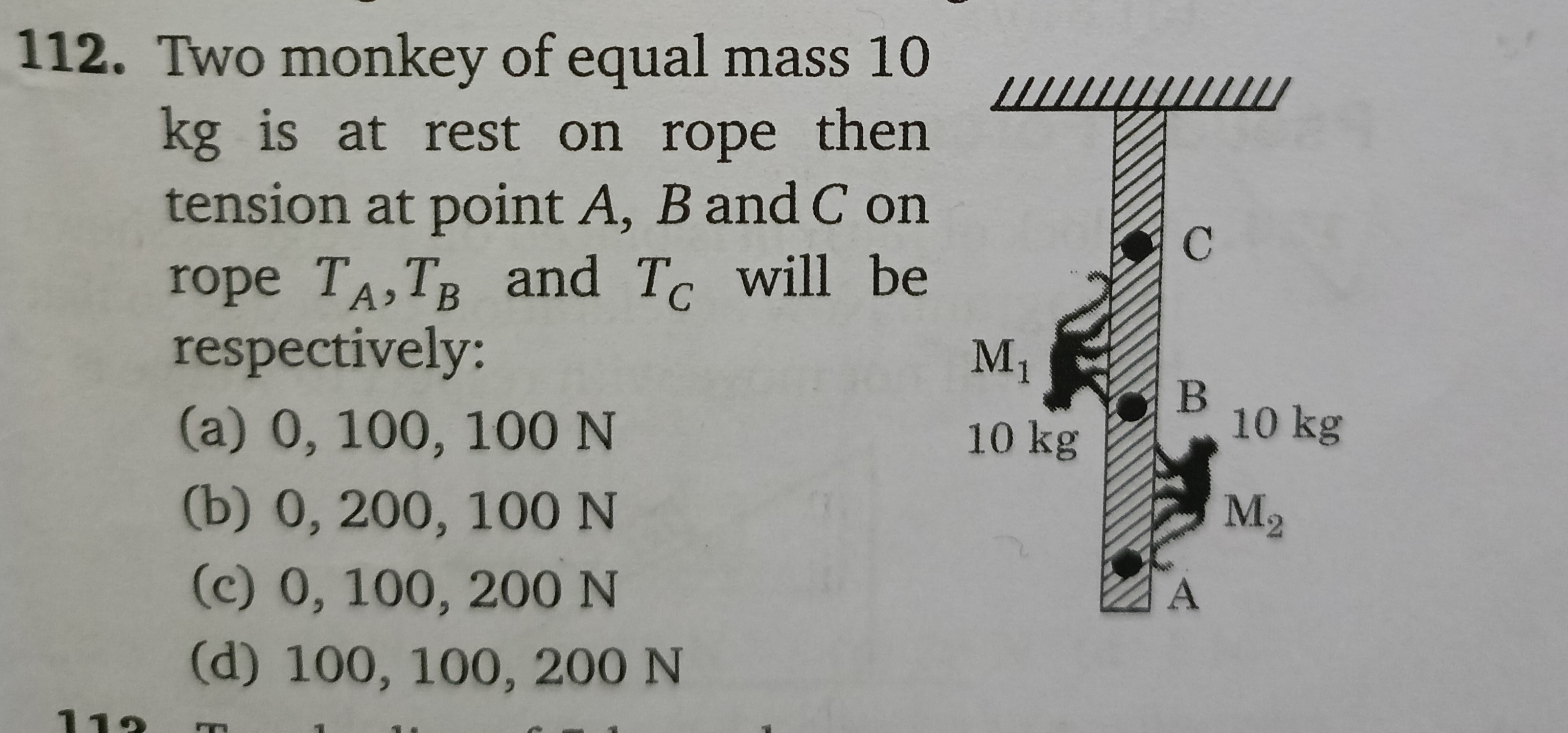 112. Two monkey of equal mass 10 kg is at rest on rope then tension at