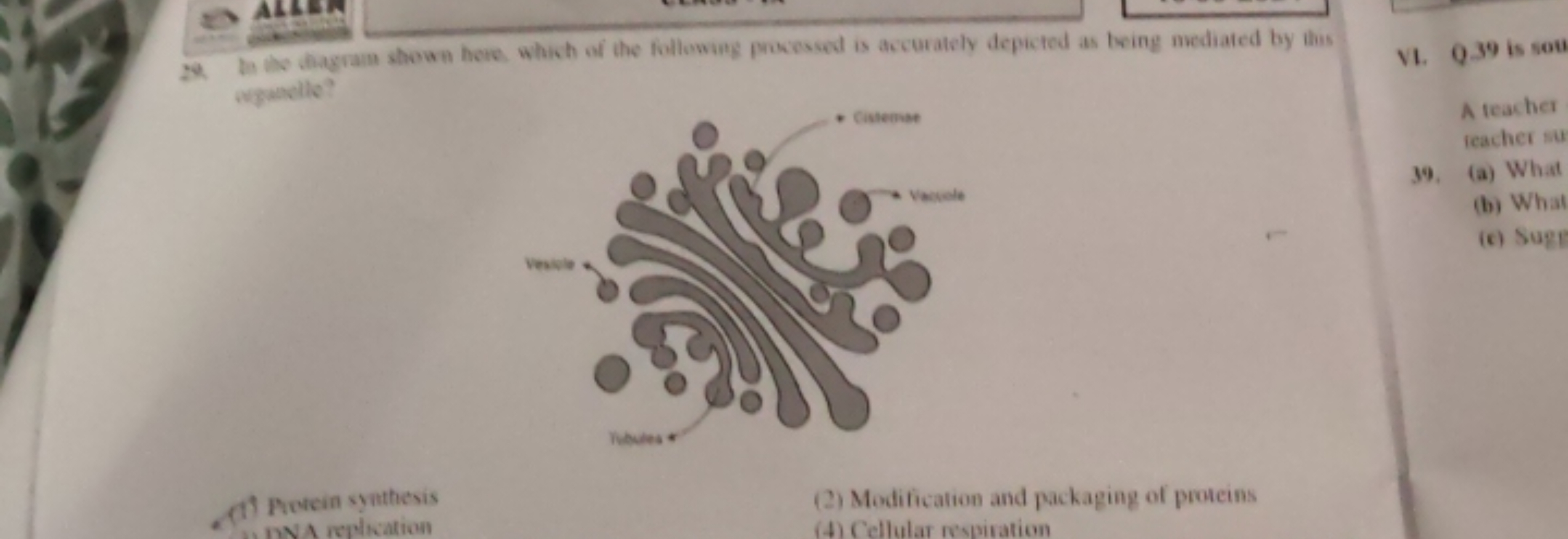 22. In the dhagrain shown here which of the following prowessed is acc