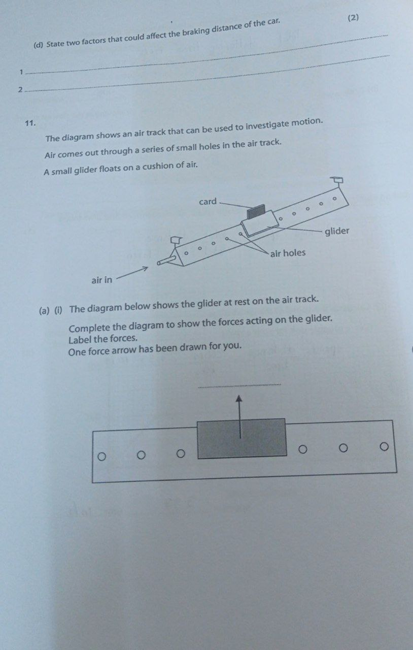 (d) State two factors that could affect the braking distance of the ca