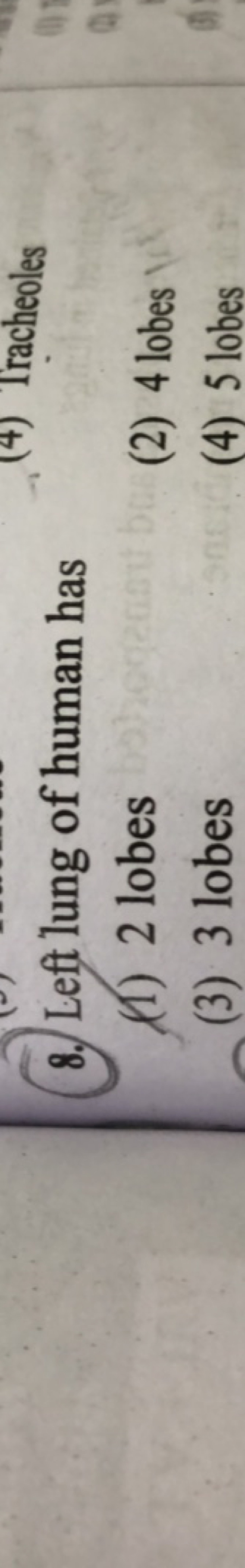 8. Left lung of human has
(1) 2 lobes
(2) 4 lobes
(3) 3 lobes
(4) 5 lo
