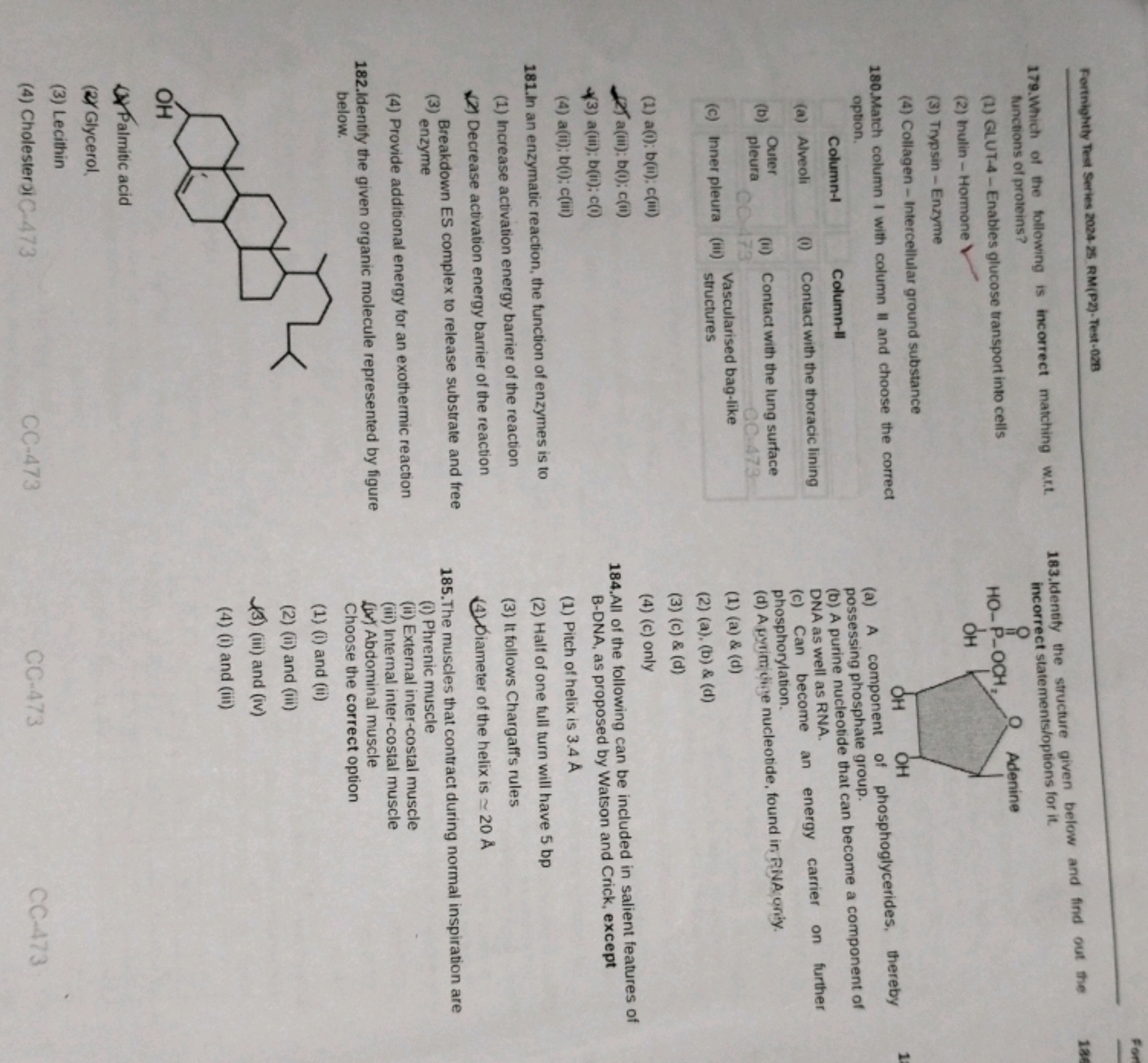 For
Fortnightly Test Series 2024 - 25 RM(P2)-Test-02B
179. Which of th