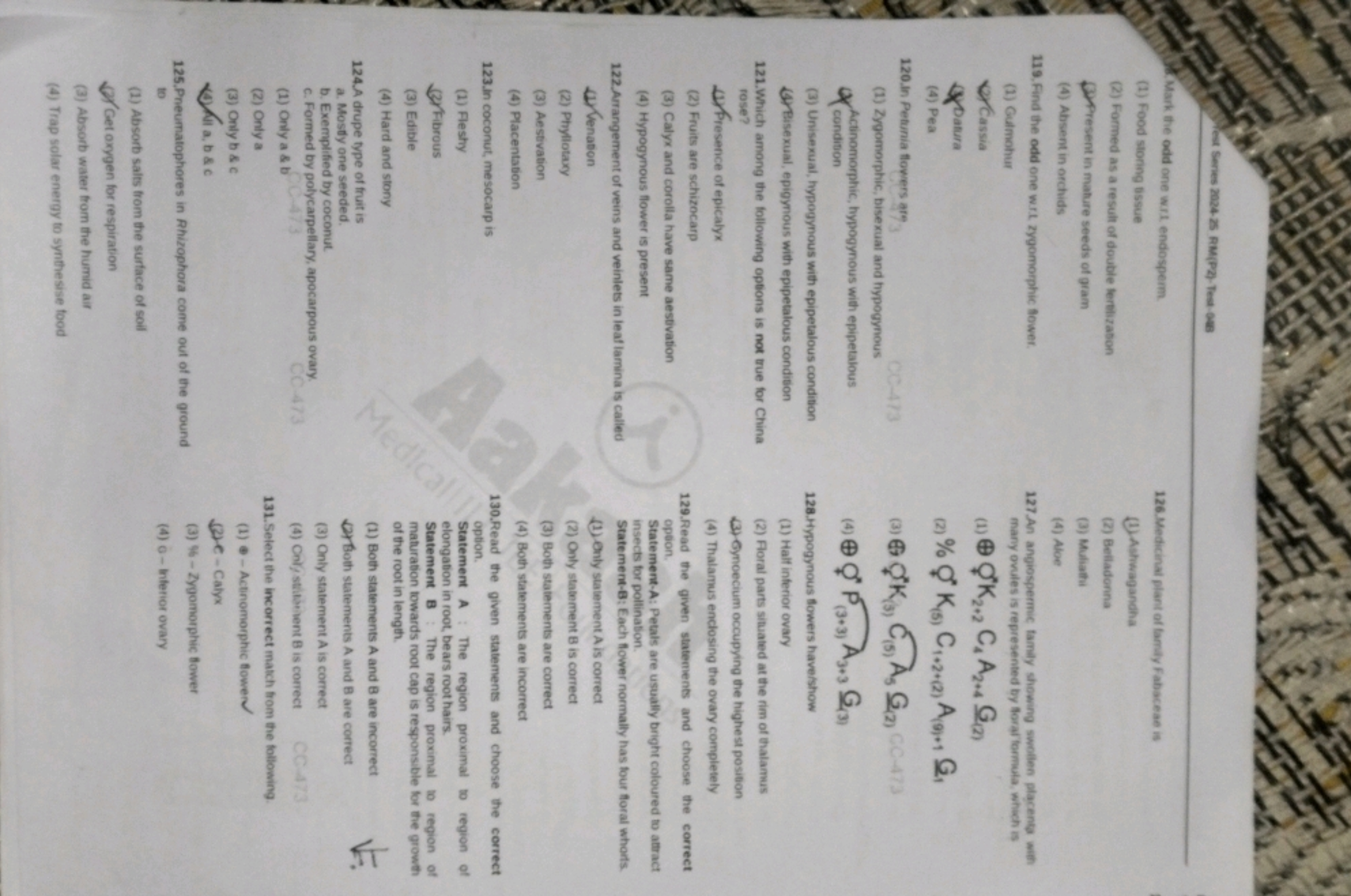 West Series 2024-25 RM(P2)-Test-048
Mark the odd one wrl endosperm
(1)