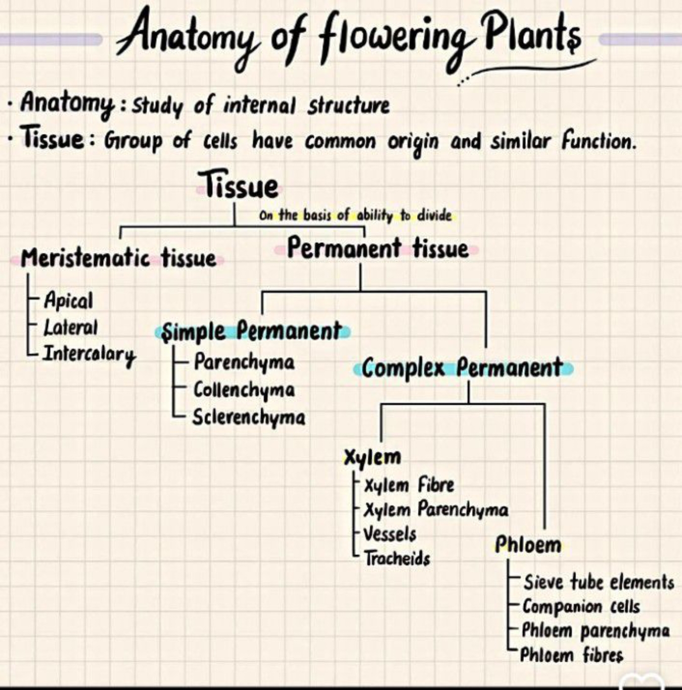 Anatomy of flowering Plants
- Anatomy : Study of internal structure
- 