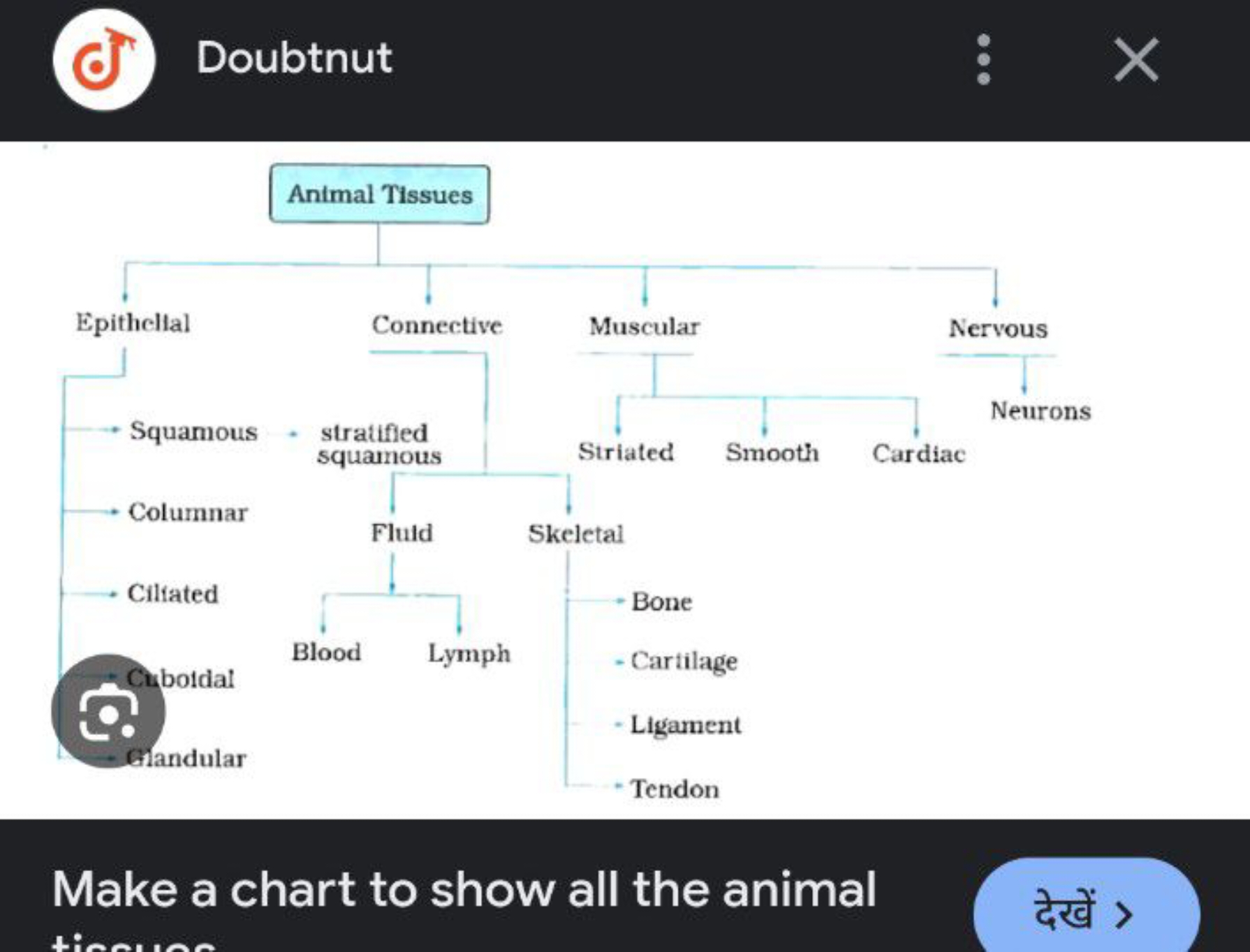 Doubtnut
∙
X

Make a chart to show all the animal