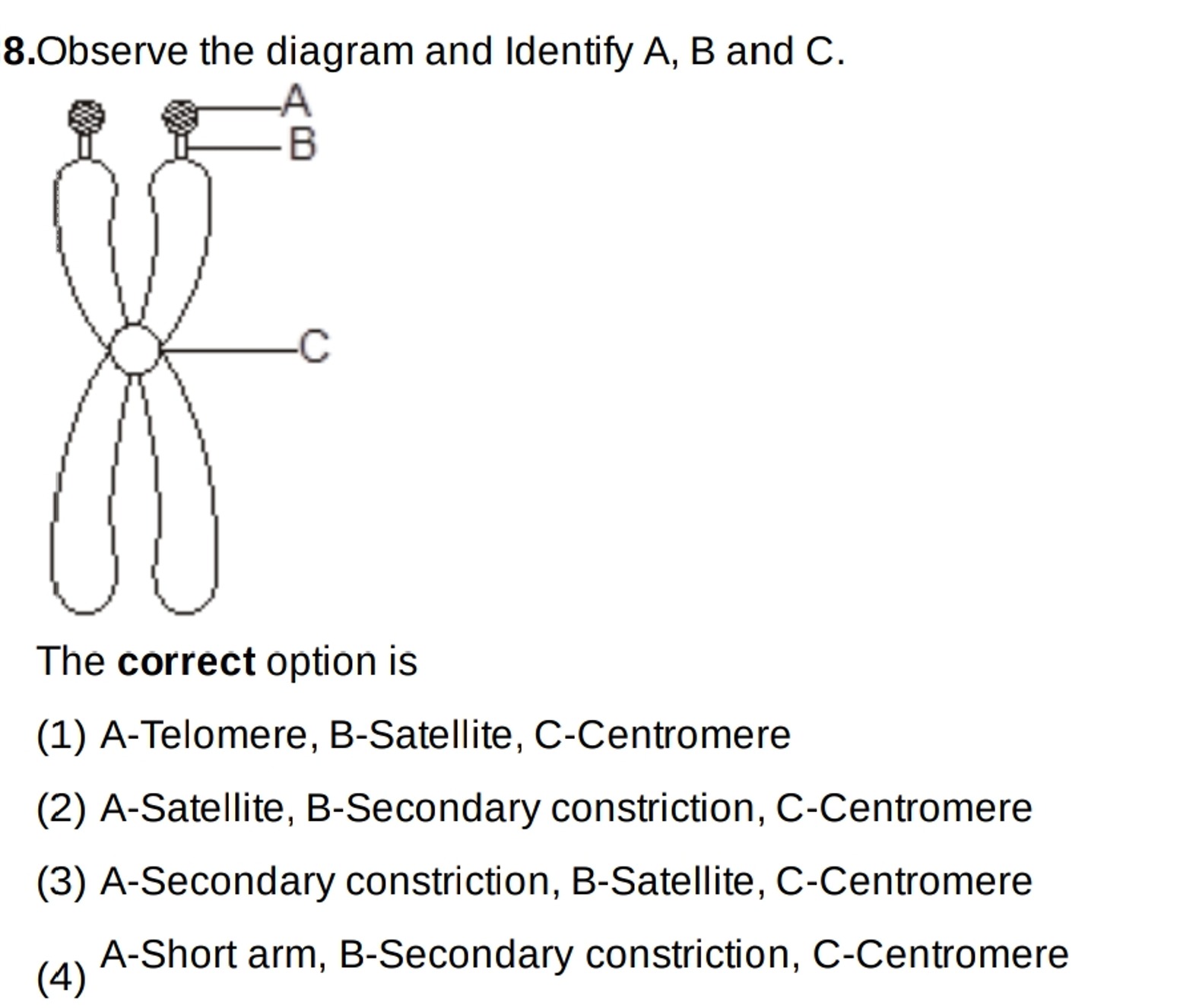 8. Observe the diagram and Identify A, B and C.

The correct option is